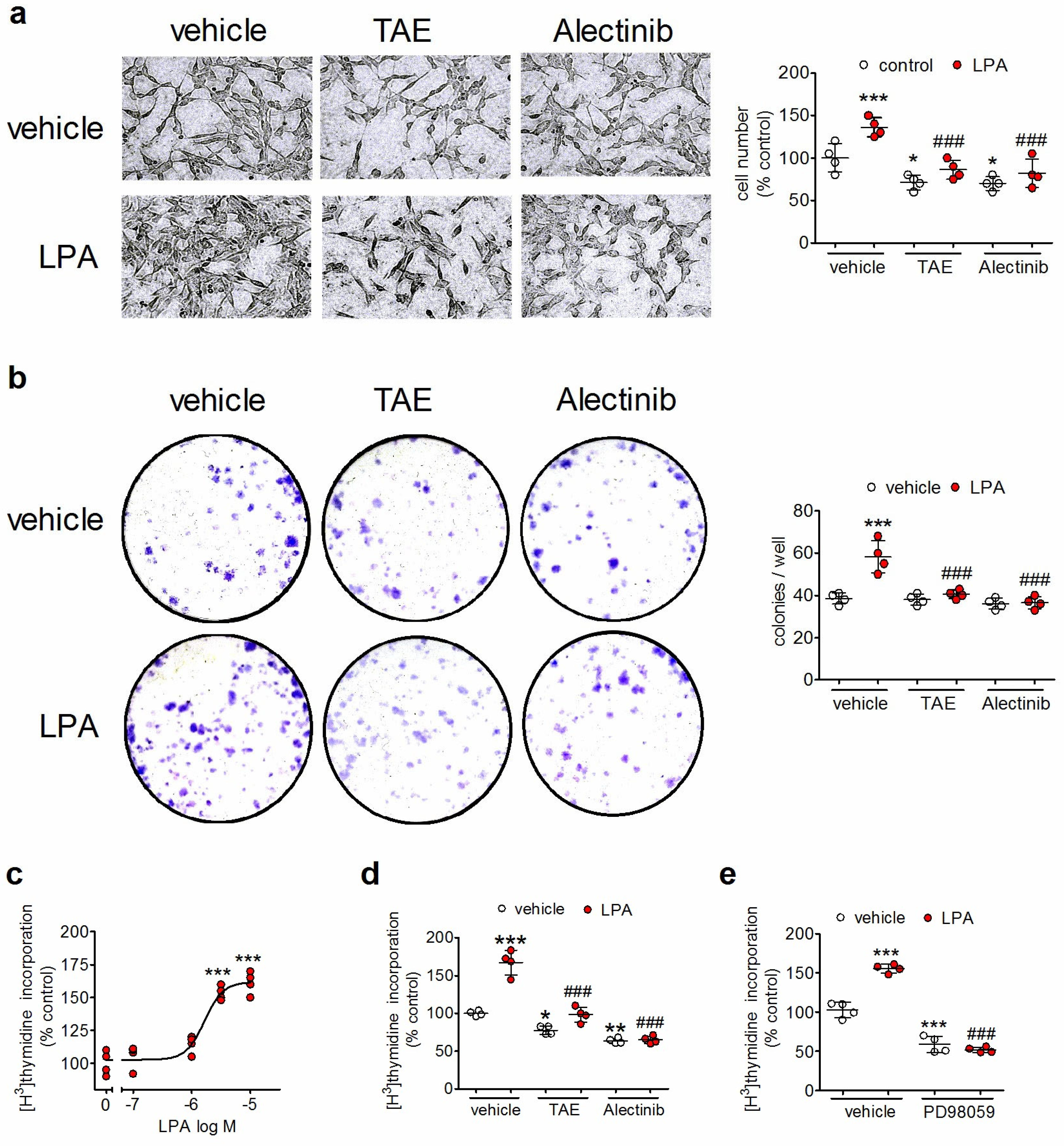 Biomolecules 14 00631 g001