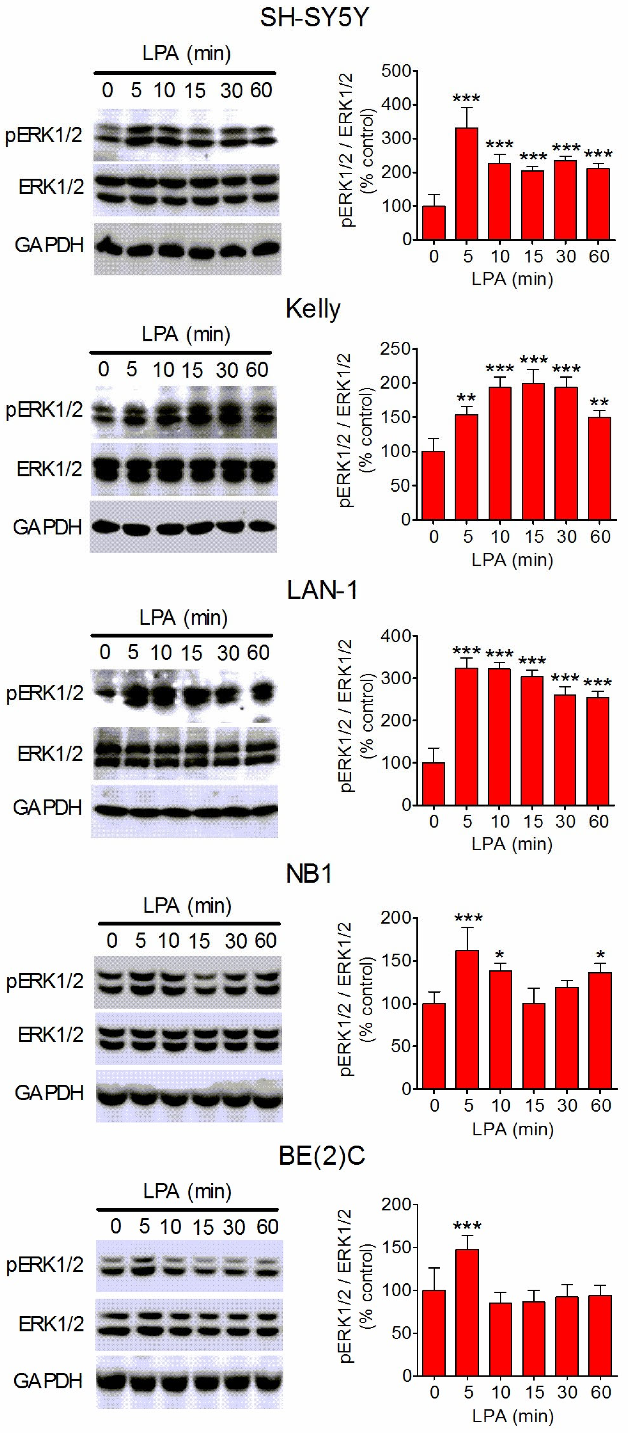 Biomolecules 14 00631 g002