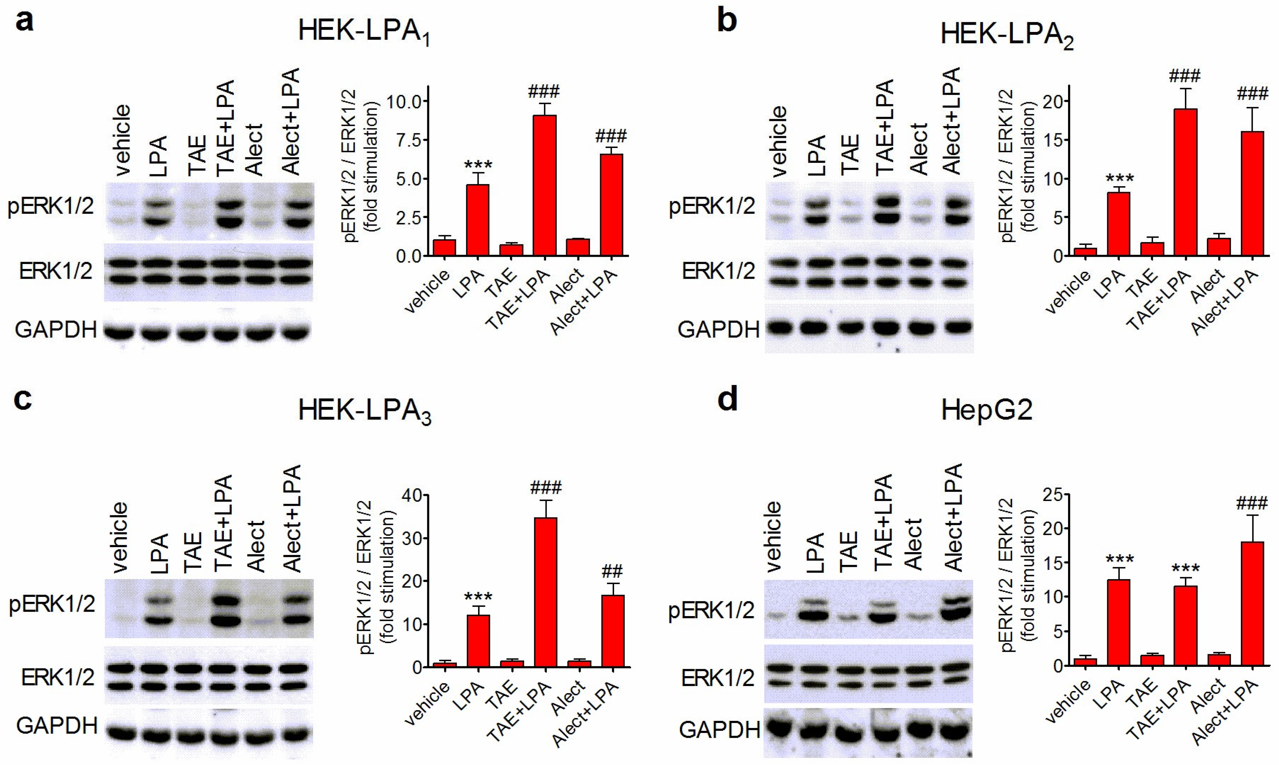 Biomolecules 14 00631 g004