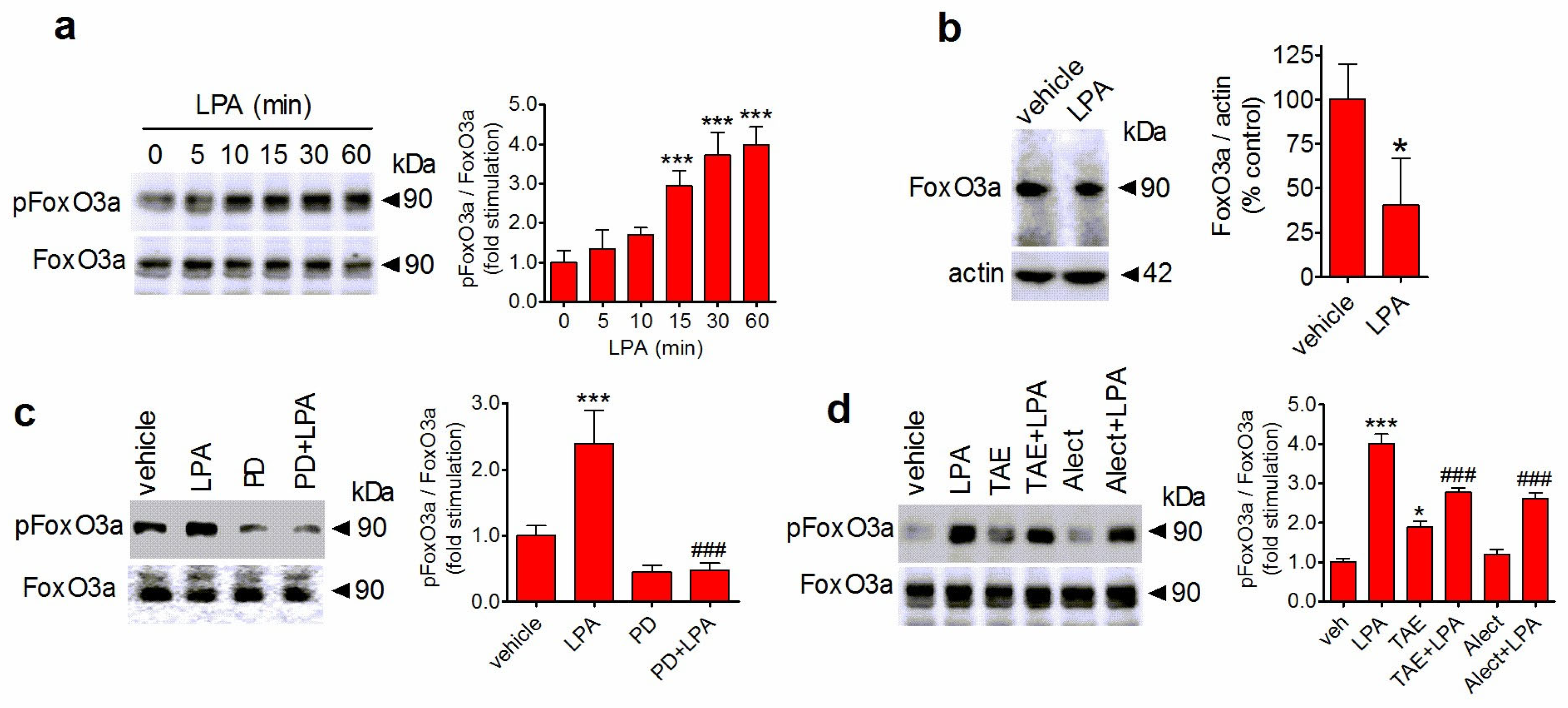 Biomolecules 14 00631 g007