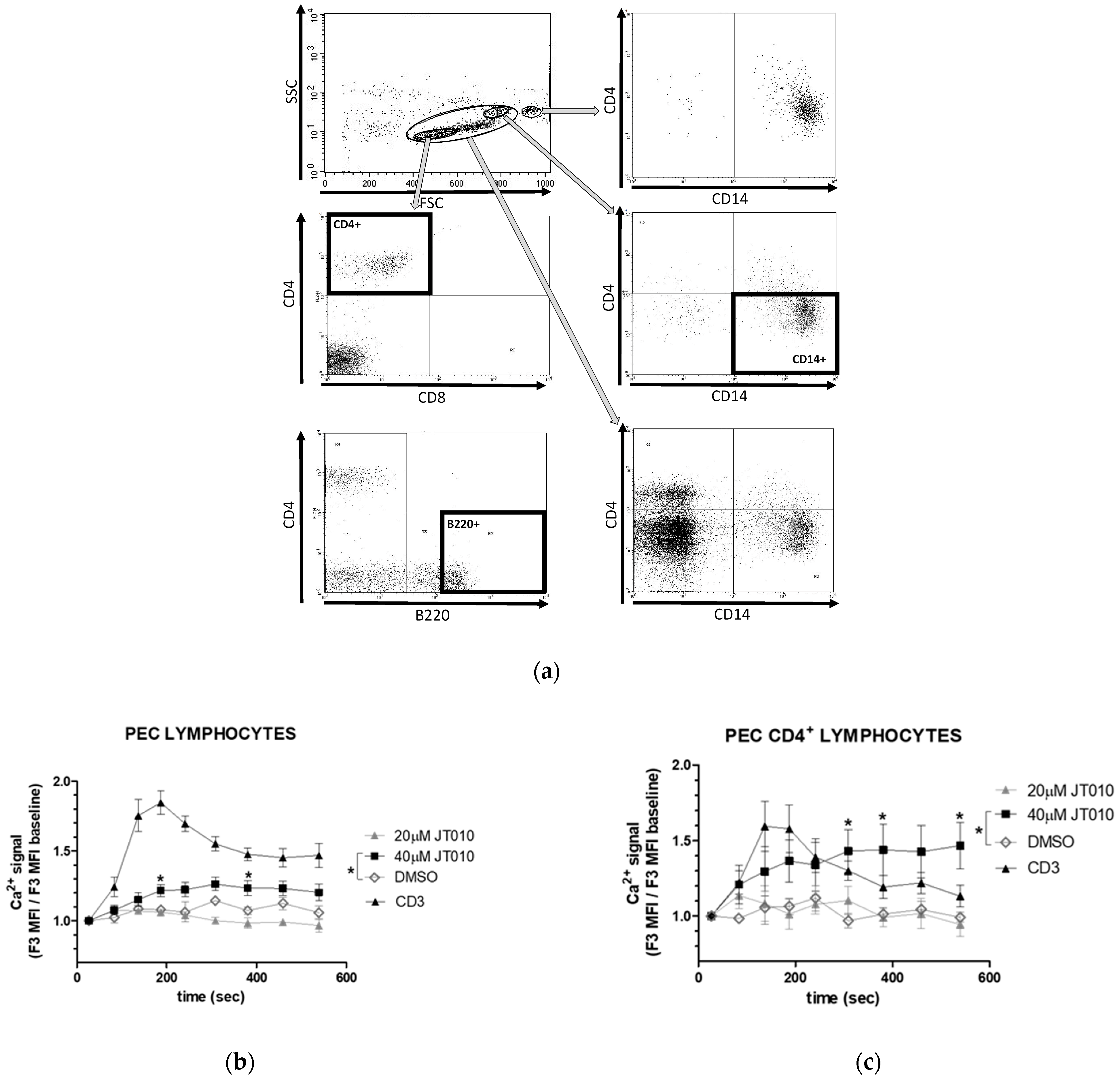 Biomolecules 14 00632 g004a