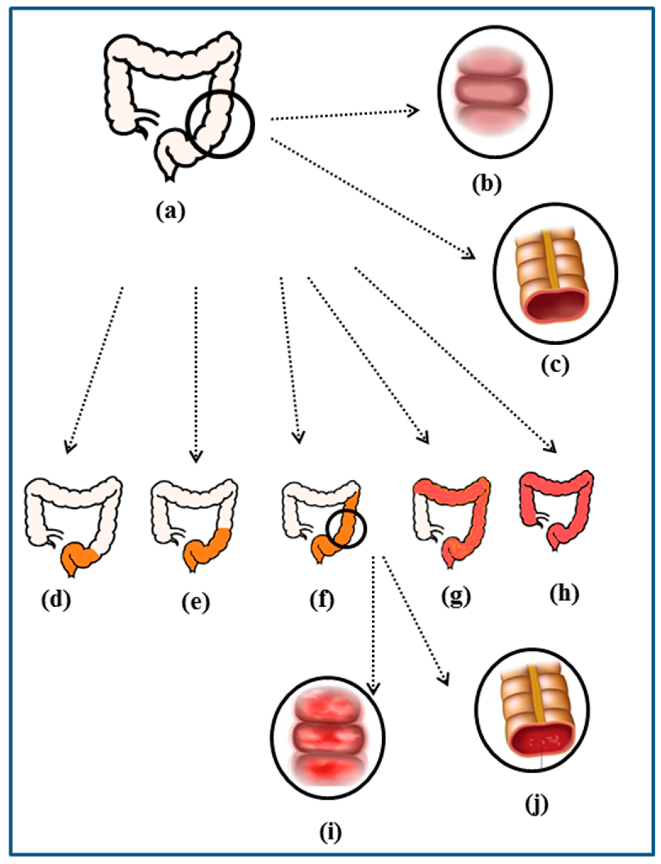Biomolecules 14 00633 g001 Biomolecules 14 00633 g001