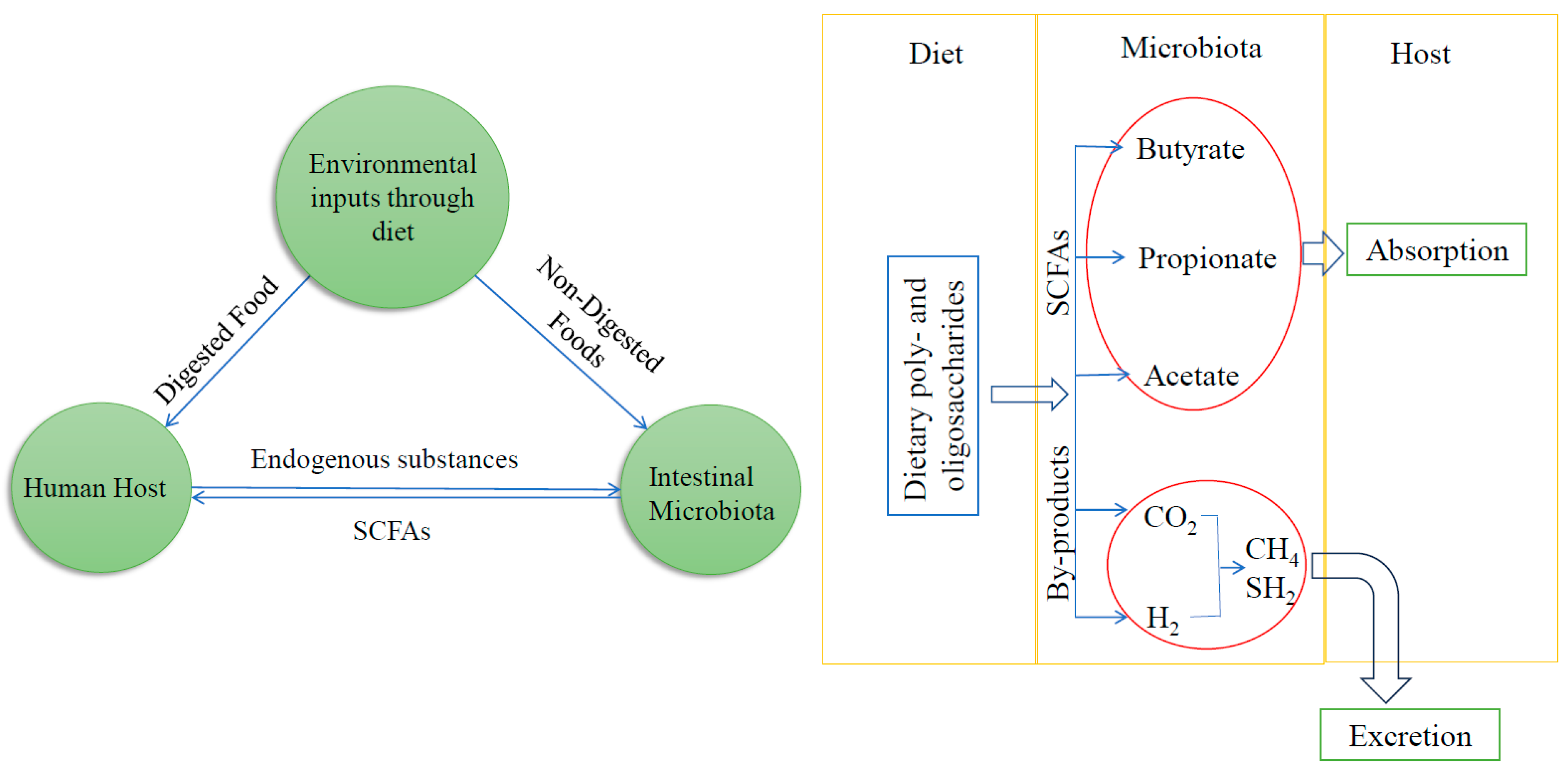 Biomolecules 14 00633 g003 Biomolecules 14 00633 g003