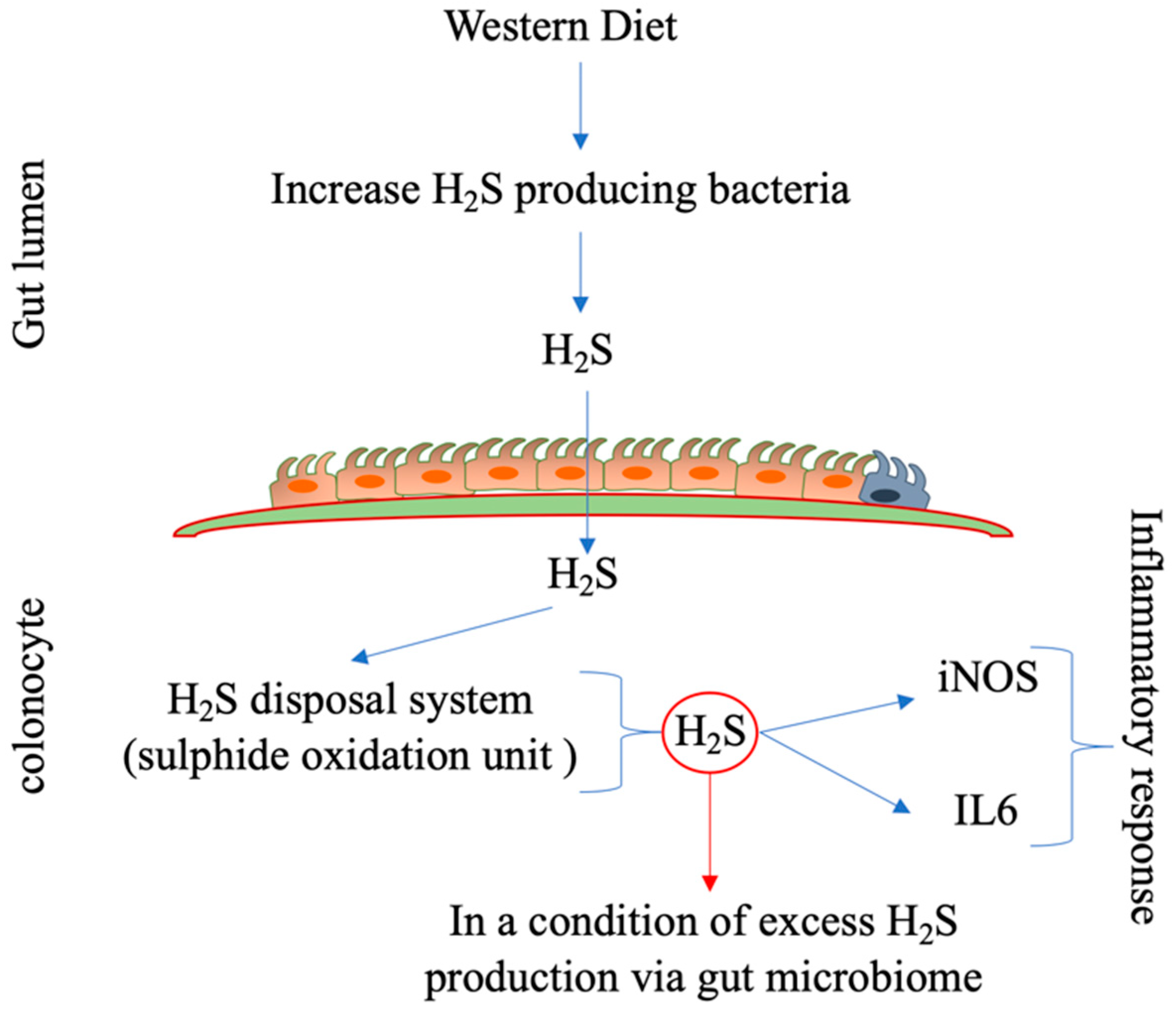 Biomolecules 14 00633 g004 Biomolecules 14 00633 g004