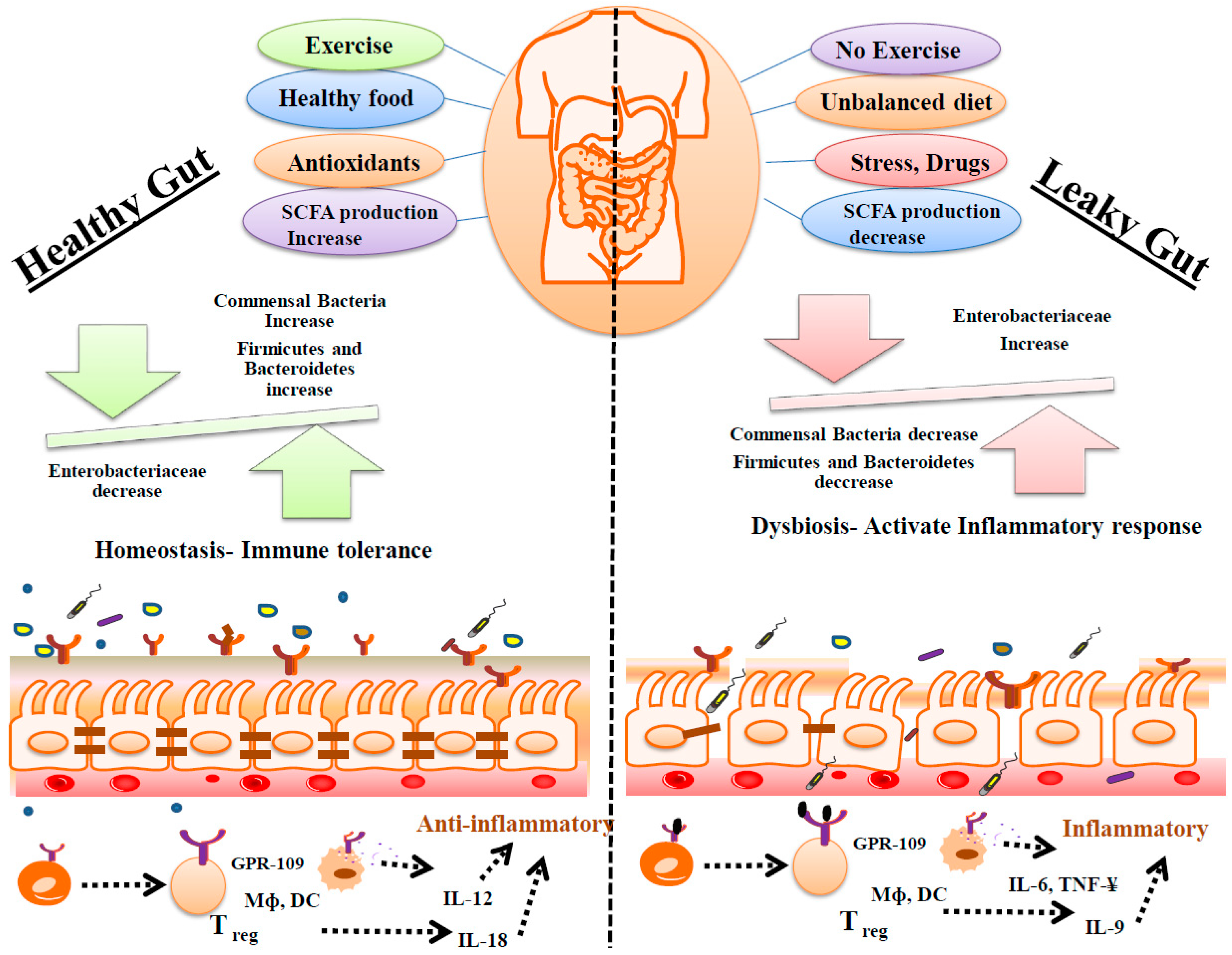 Biomolecules 14 00633 g005 Biomolecules 14 00633 g005