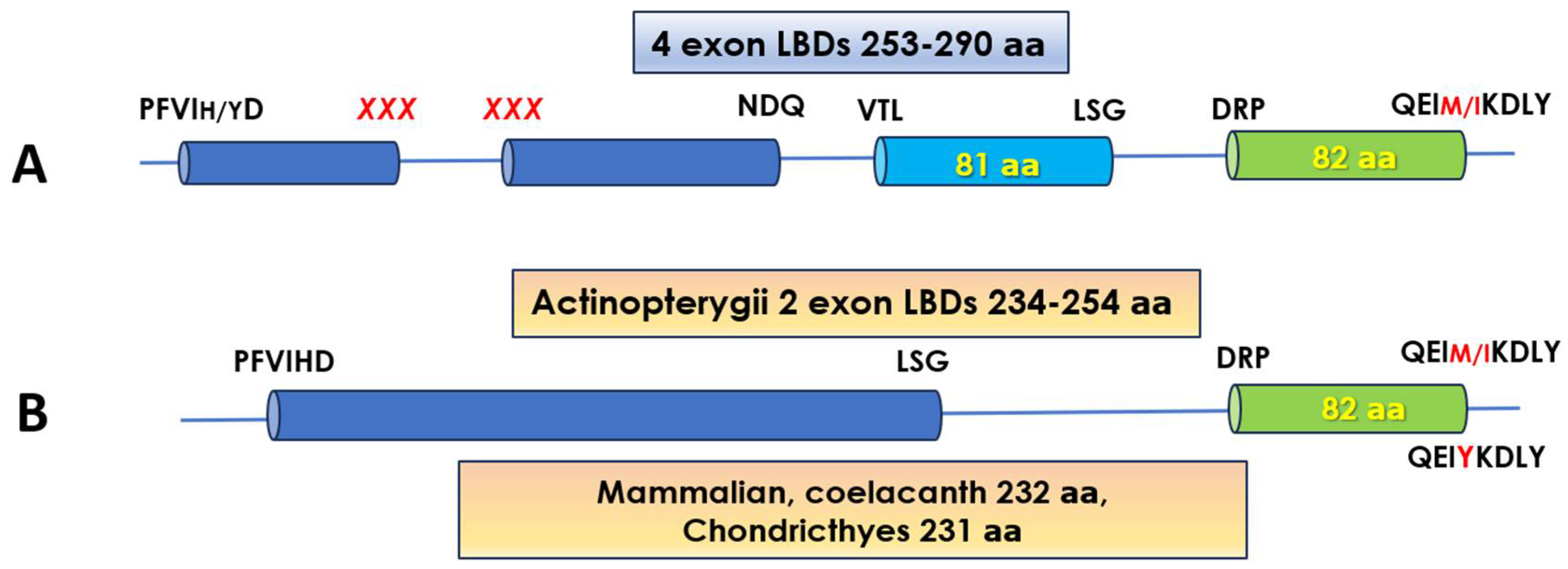 Biomolecules 14 00634 g003