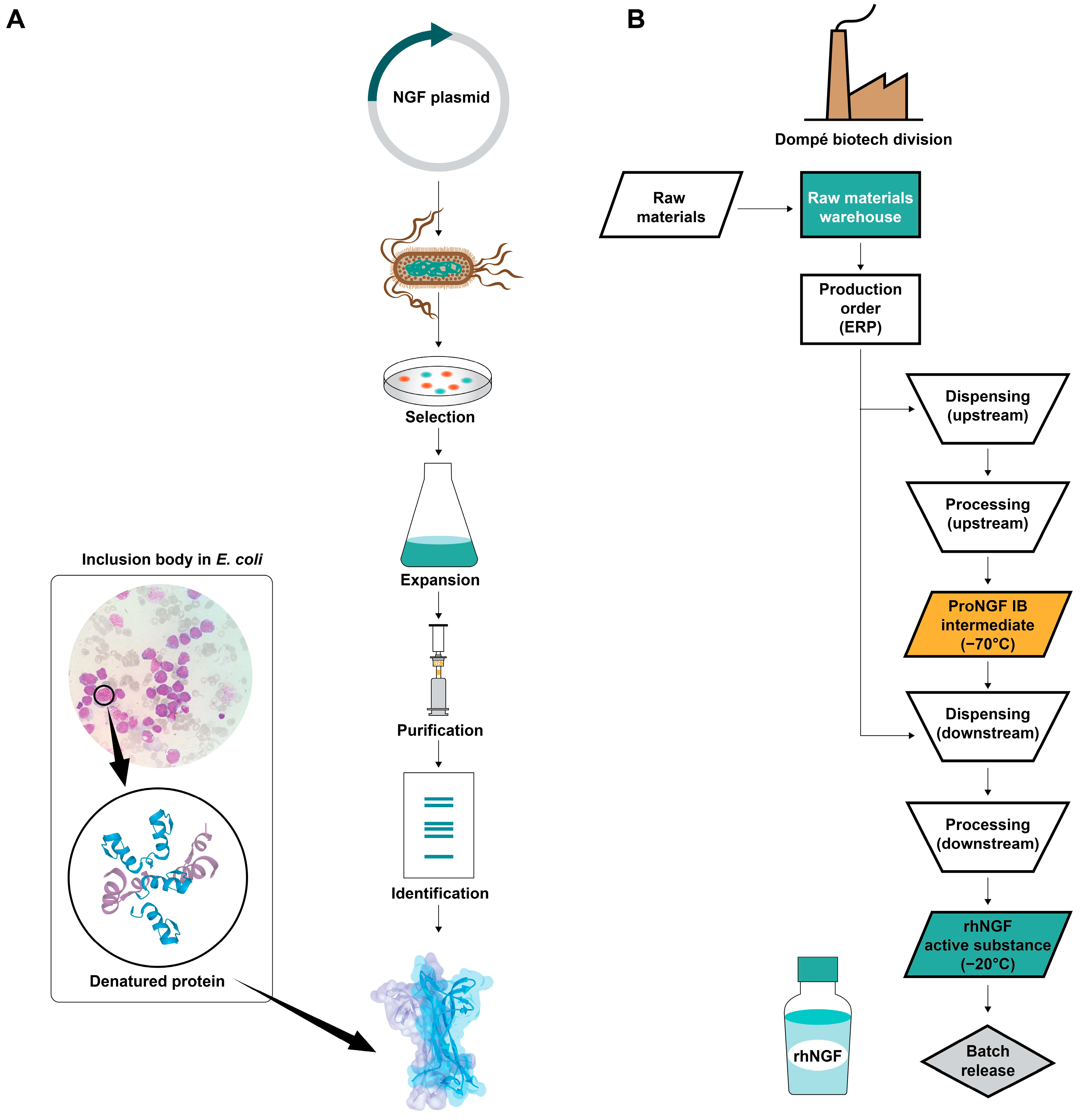 Biomolecules 14 00635 g002
