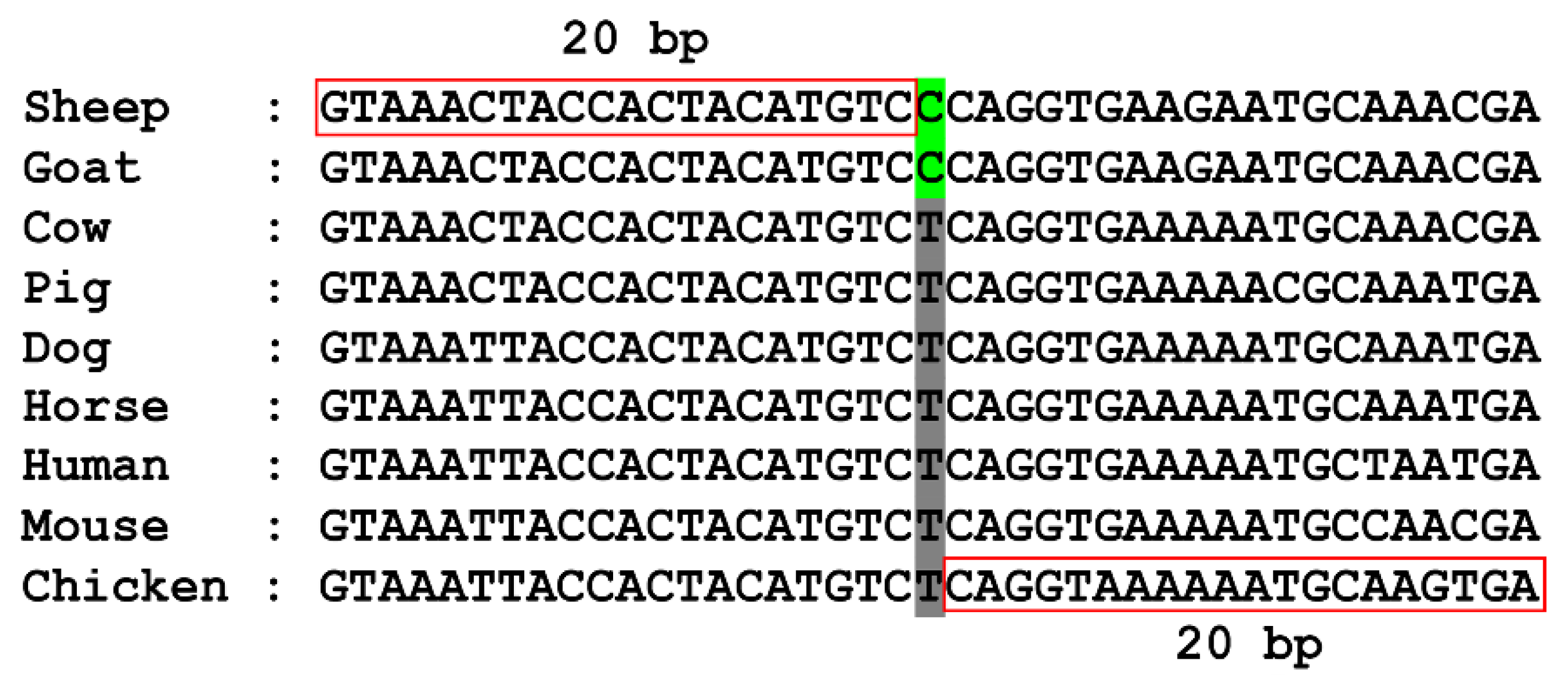 Biomolecules 14 00638 g001