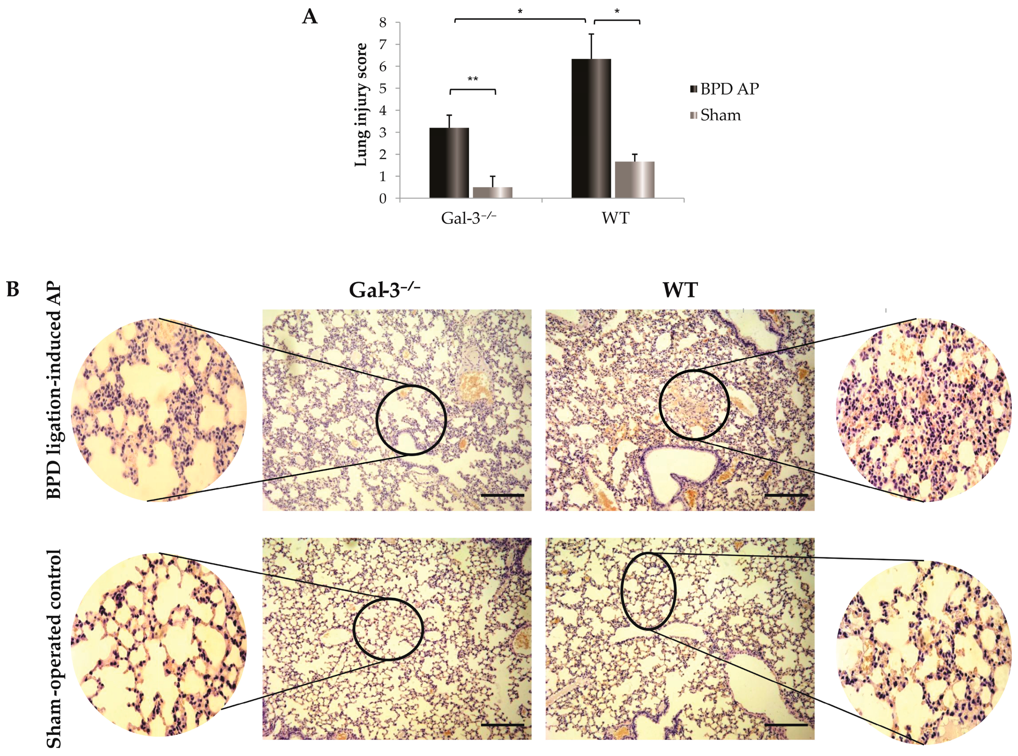 Biomolecules 14 00642 g002