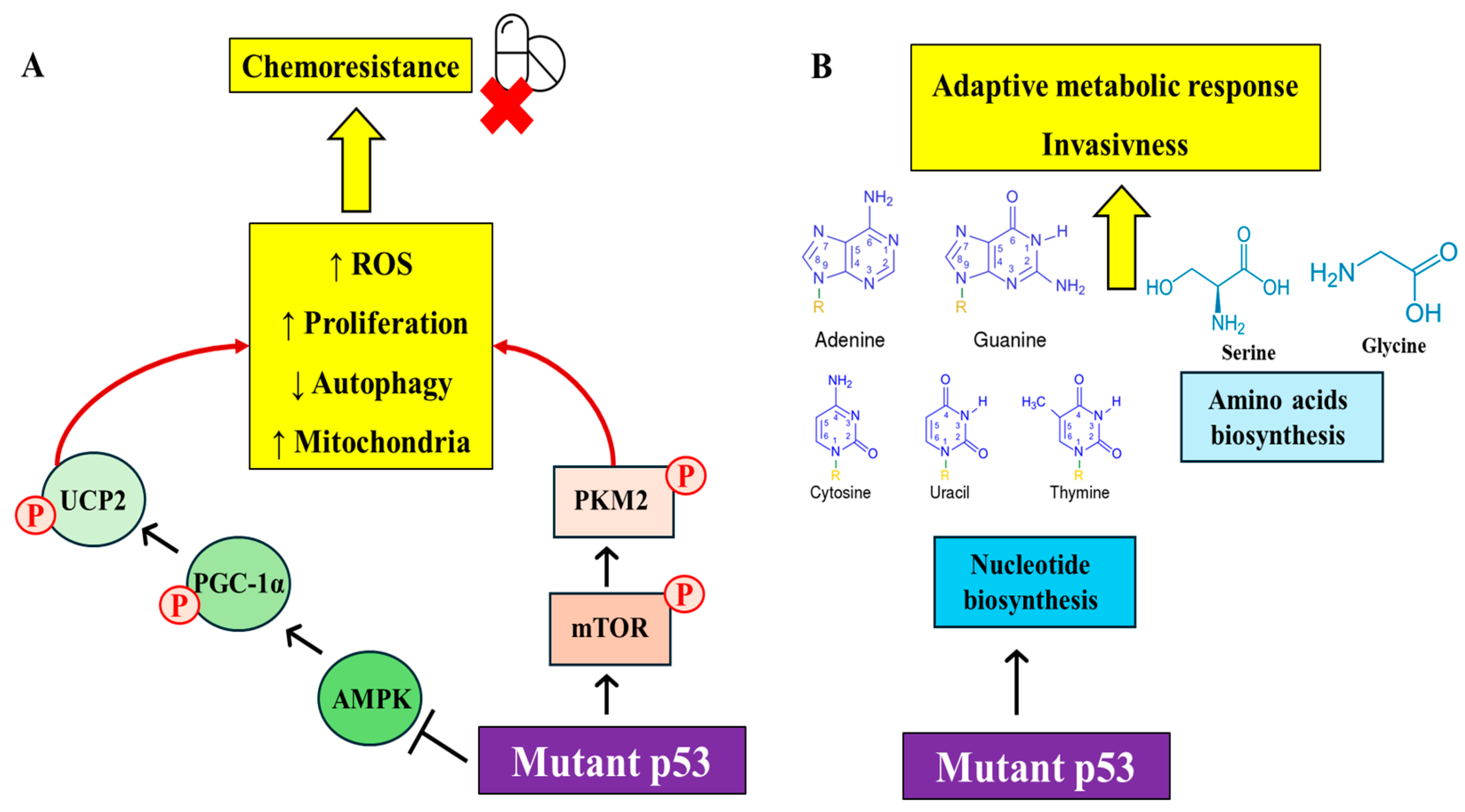 Biomolecules 14 00649 g001