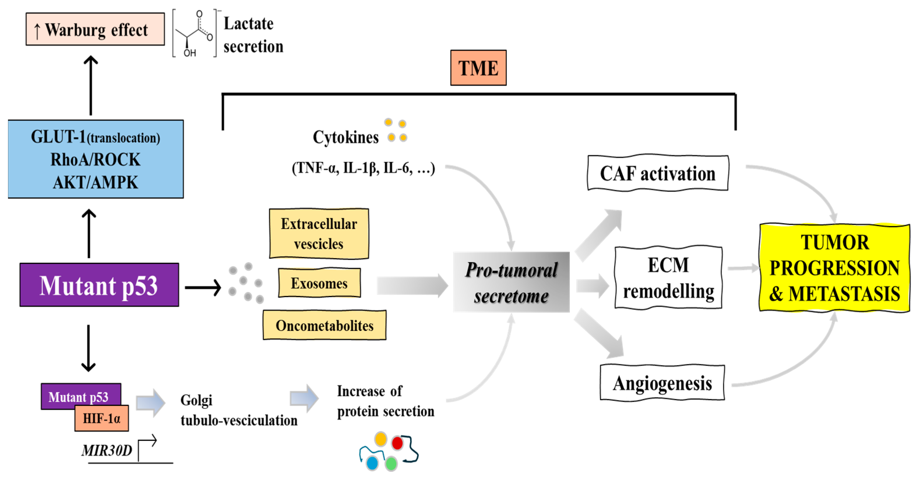 Biomolecules 14 00649 g002