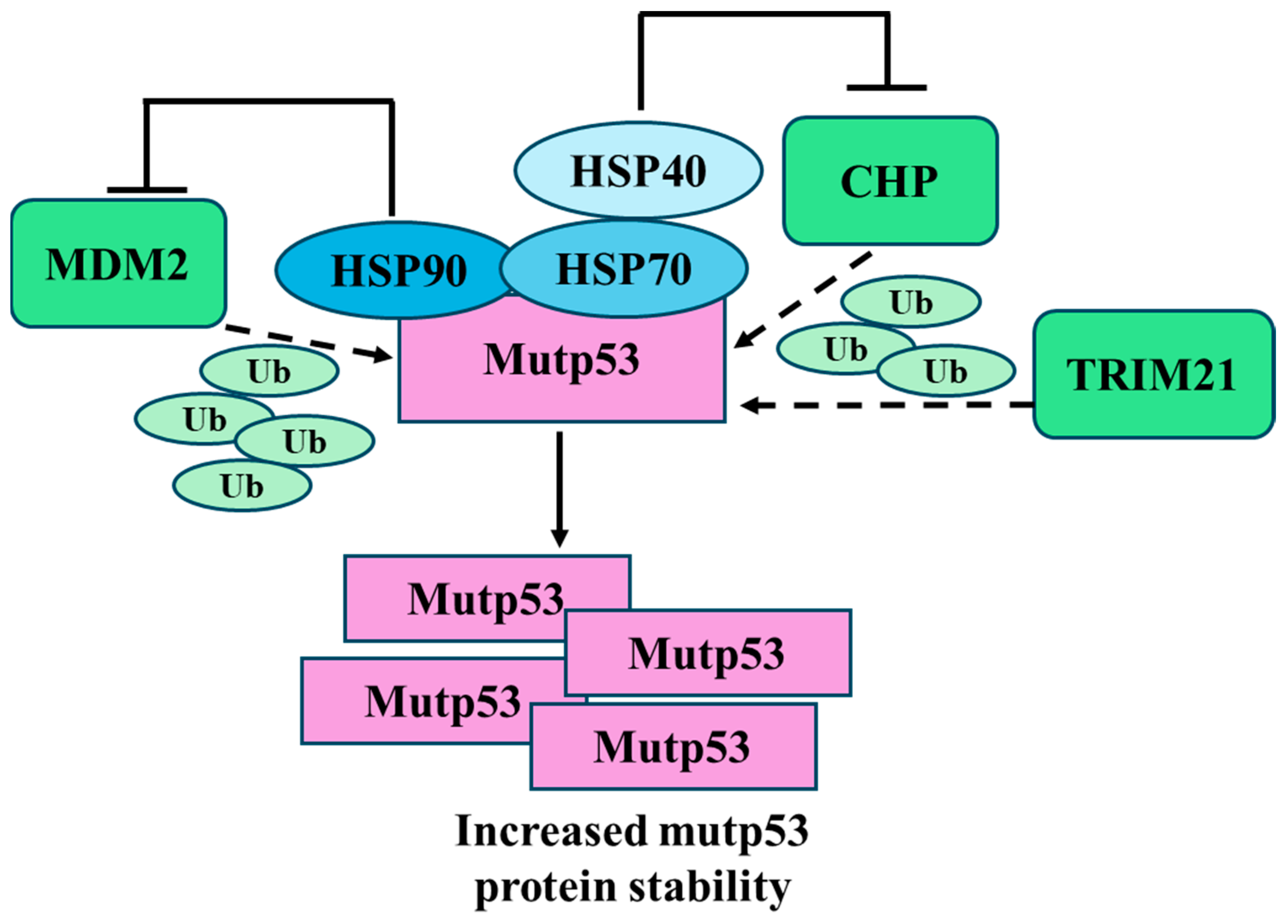 Biomolecules 14 00649 g004