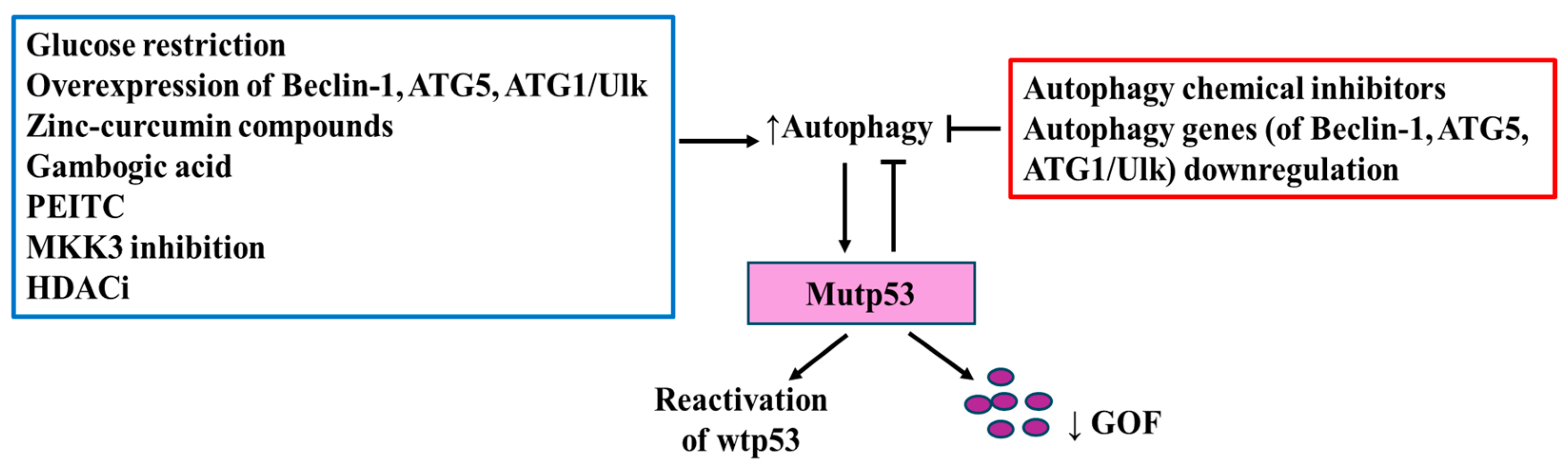 Biomolecules 14 00649 g005