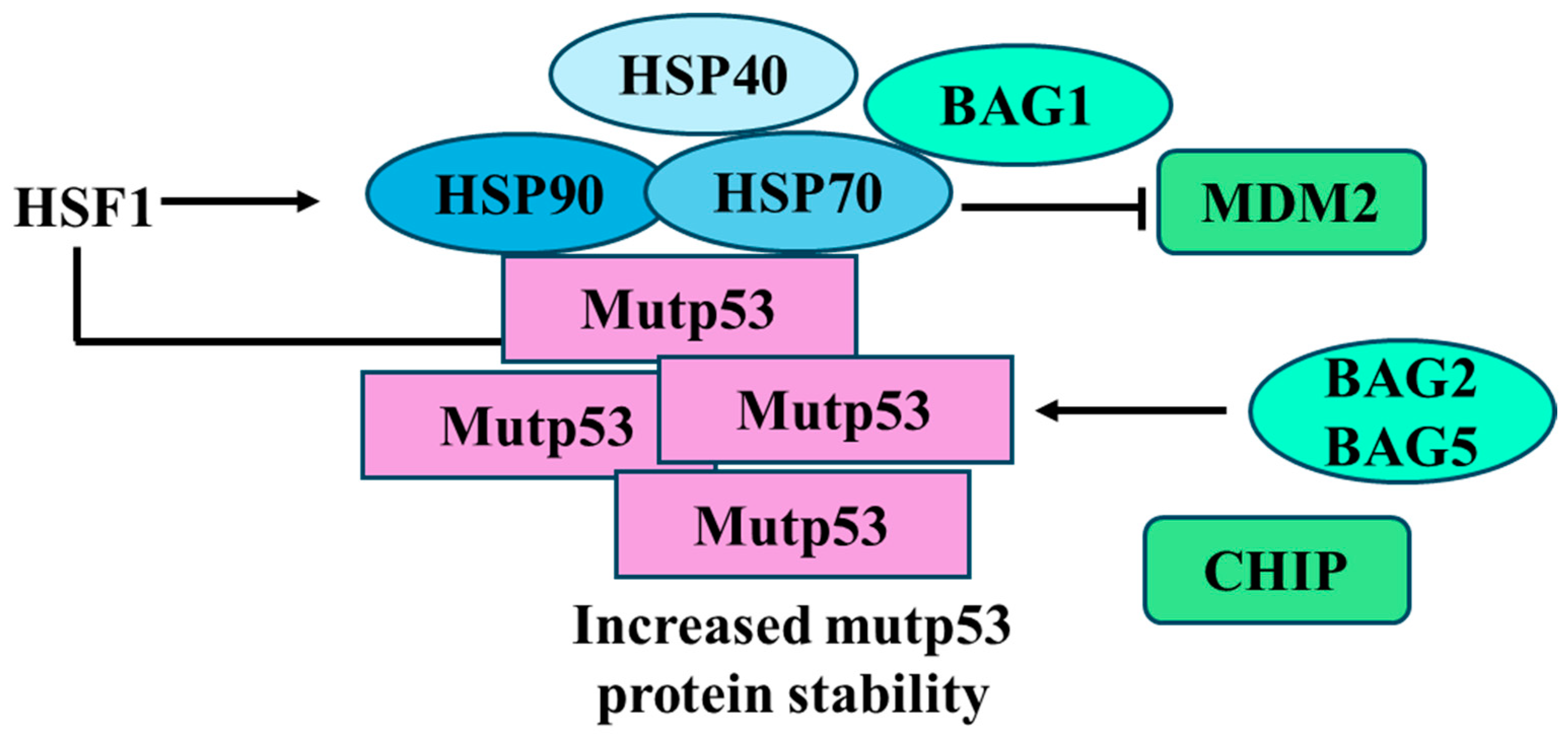 Biomolecules 14 00649 g007