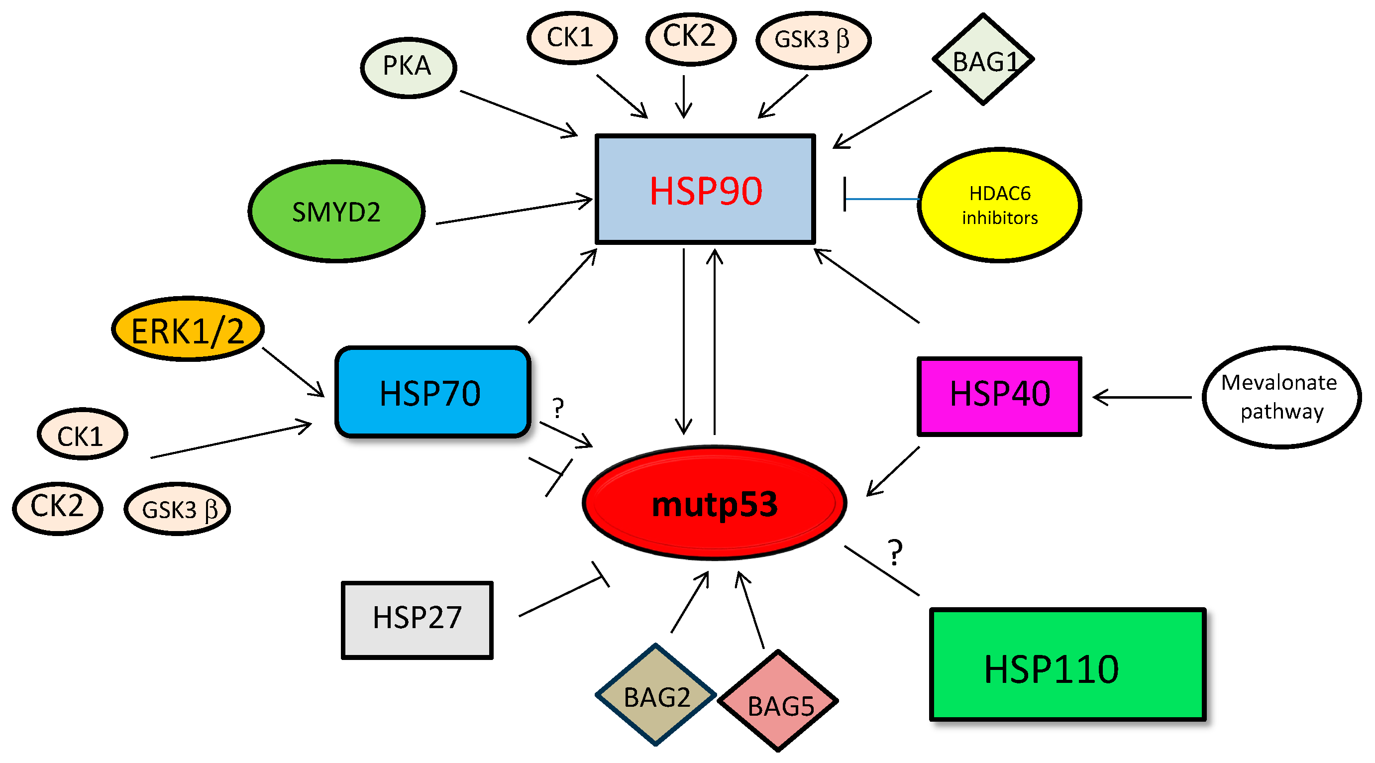 Biomolecules 14 00649 g008