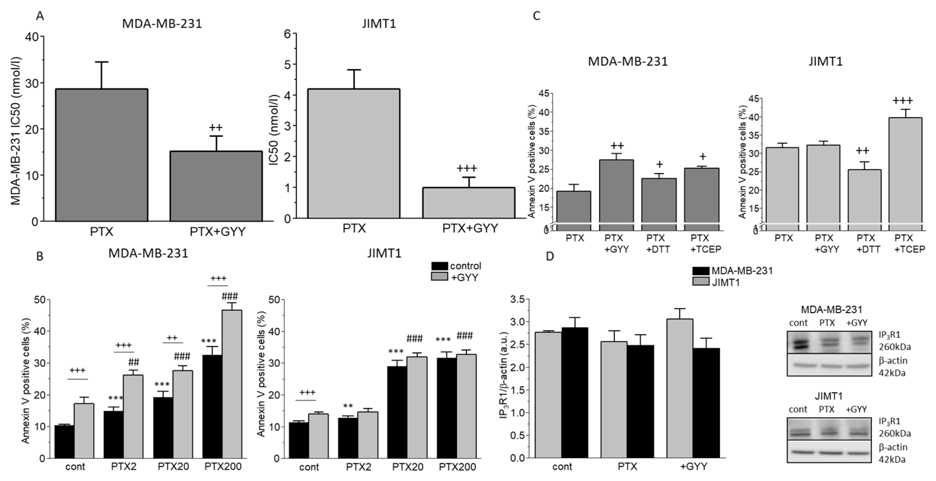 Biomolecules 14 00651 g001