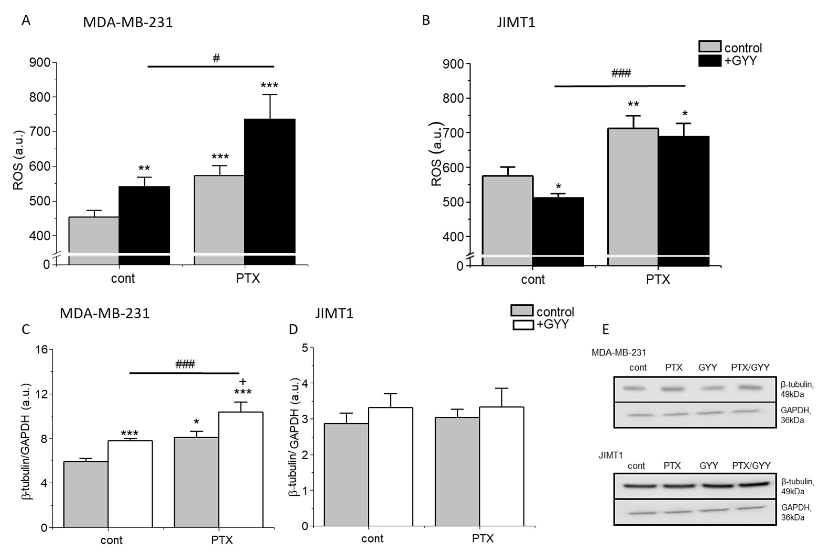 Biomolecules 14 00651 g003