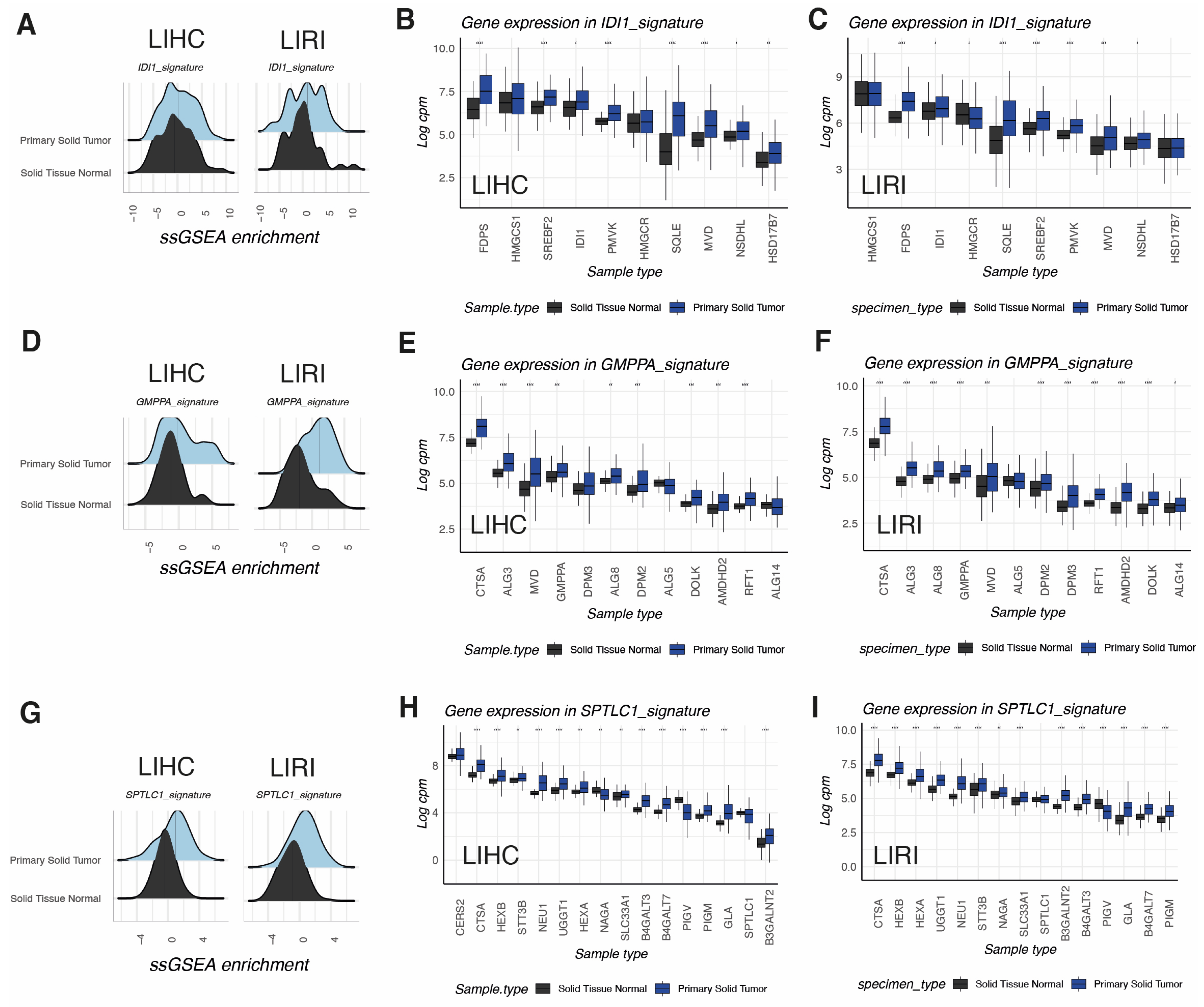 Biomolecules 14 00653 g004
