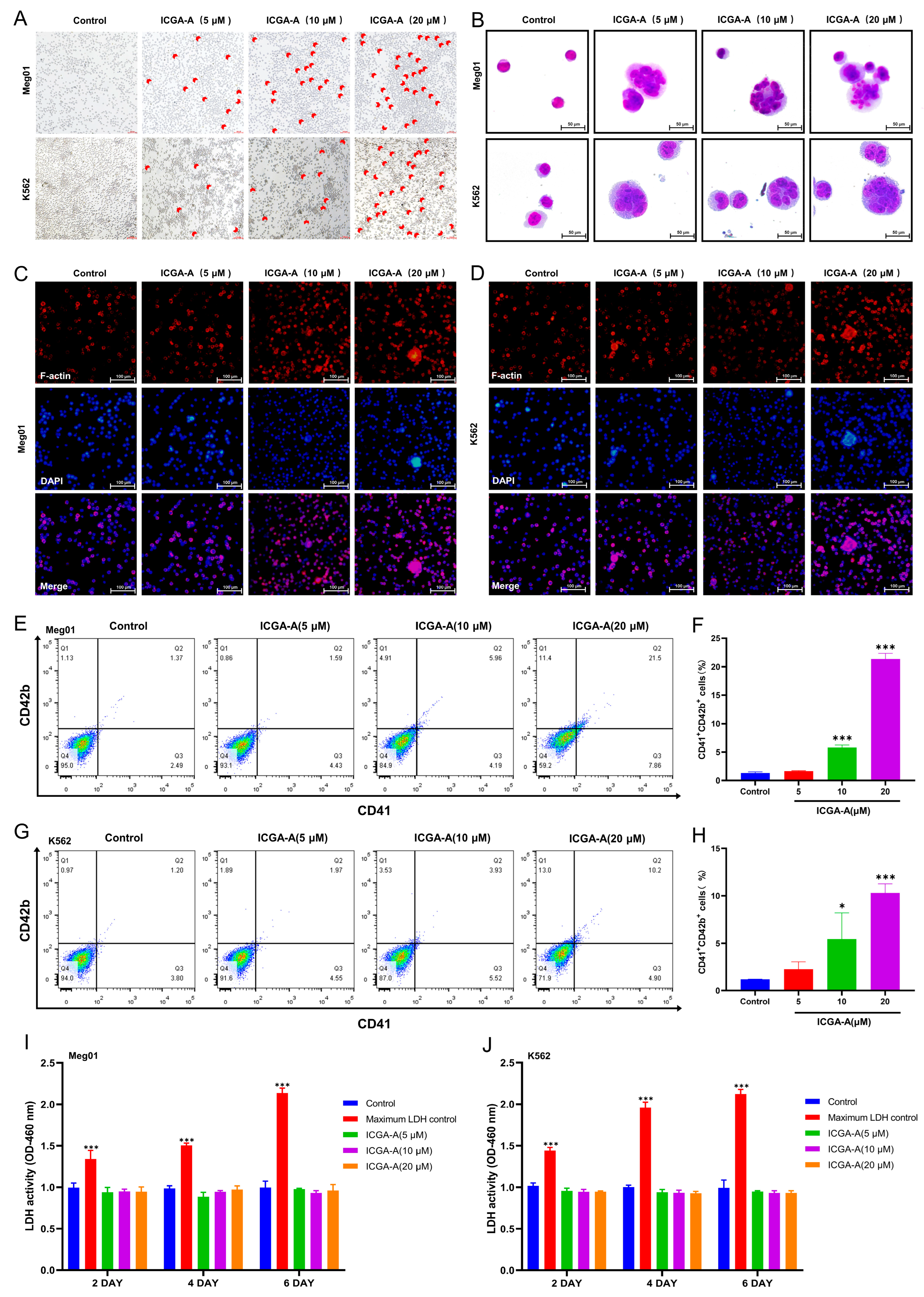 Biomolecules 14 00655 g005