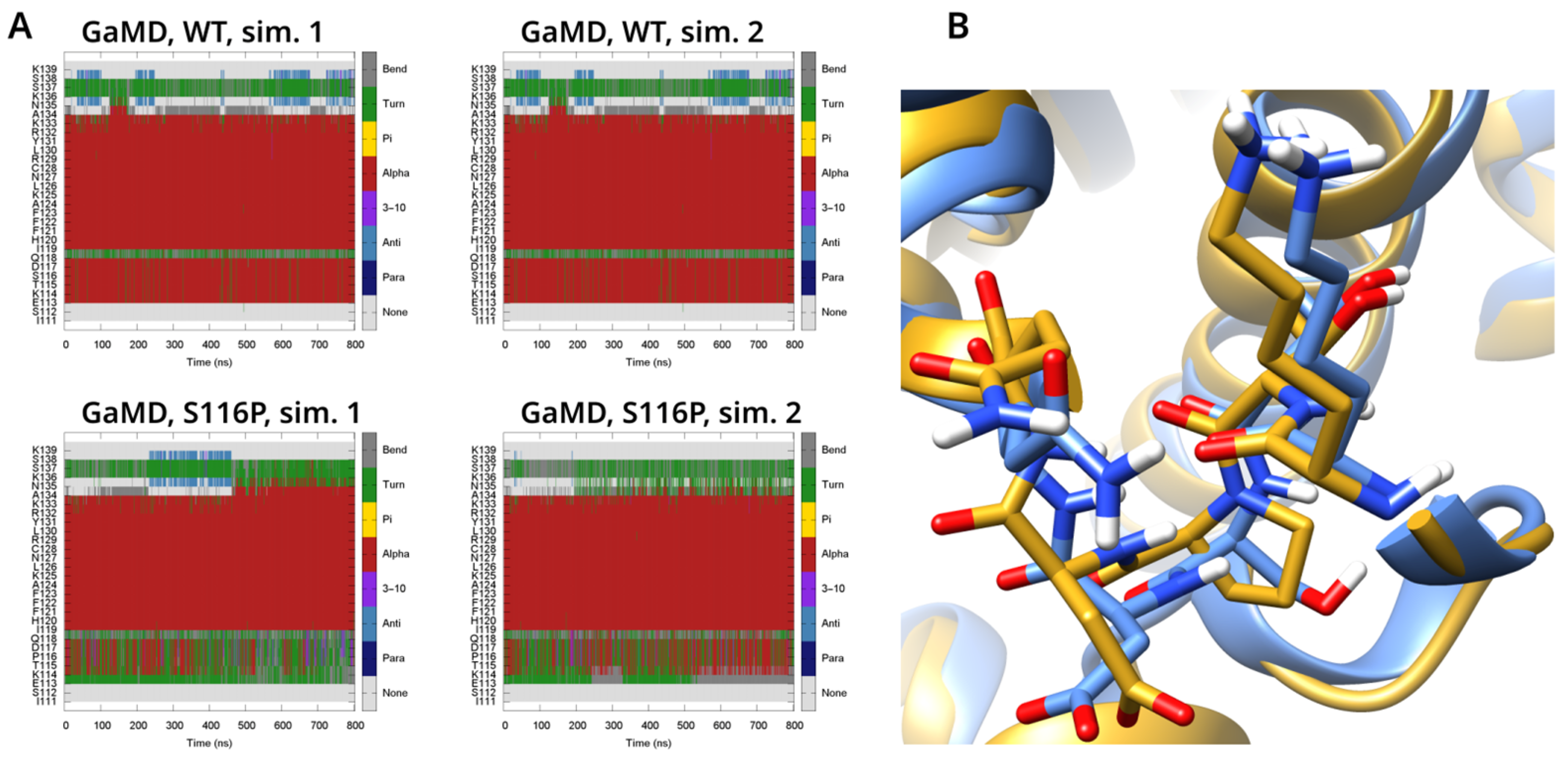 Biomolecules 14 00657 g005