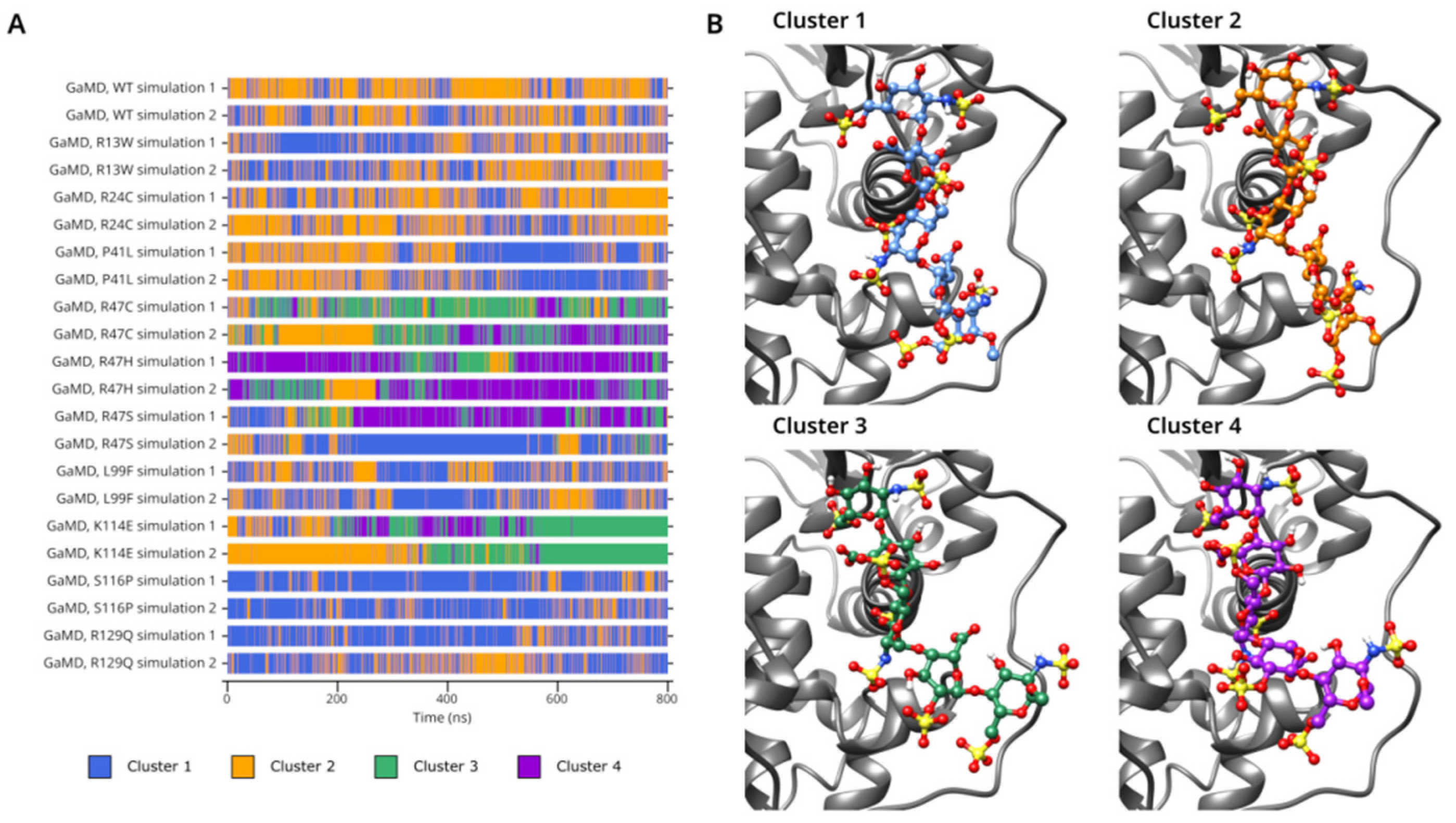 Biomolecules 14 00657 g006