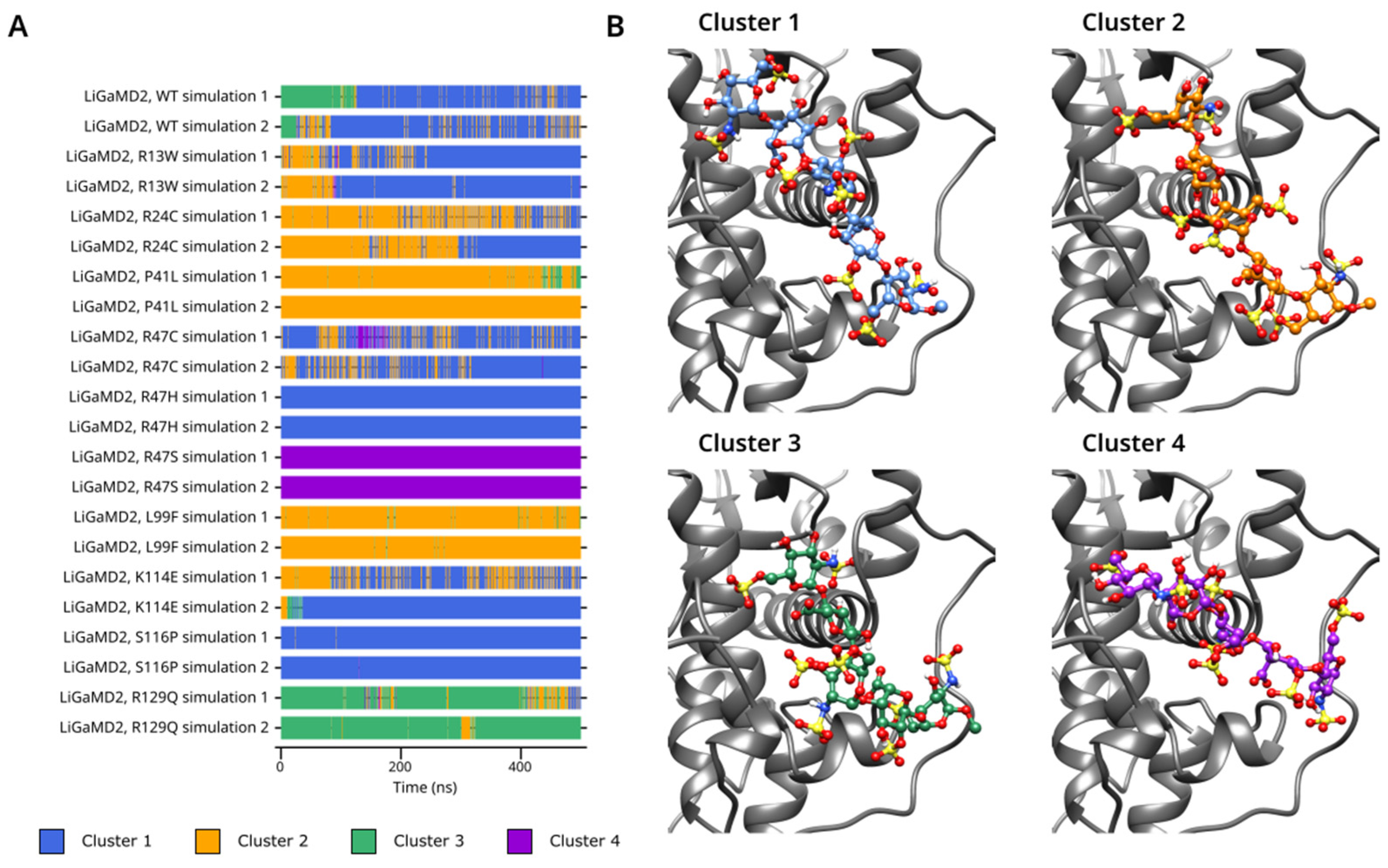 Biomolecules 14 00657 g007