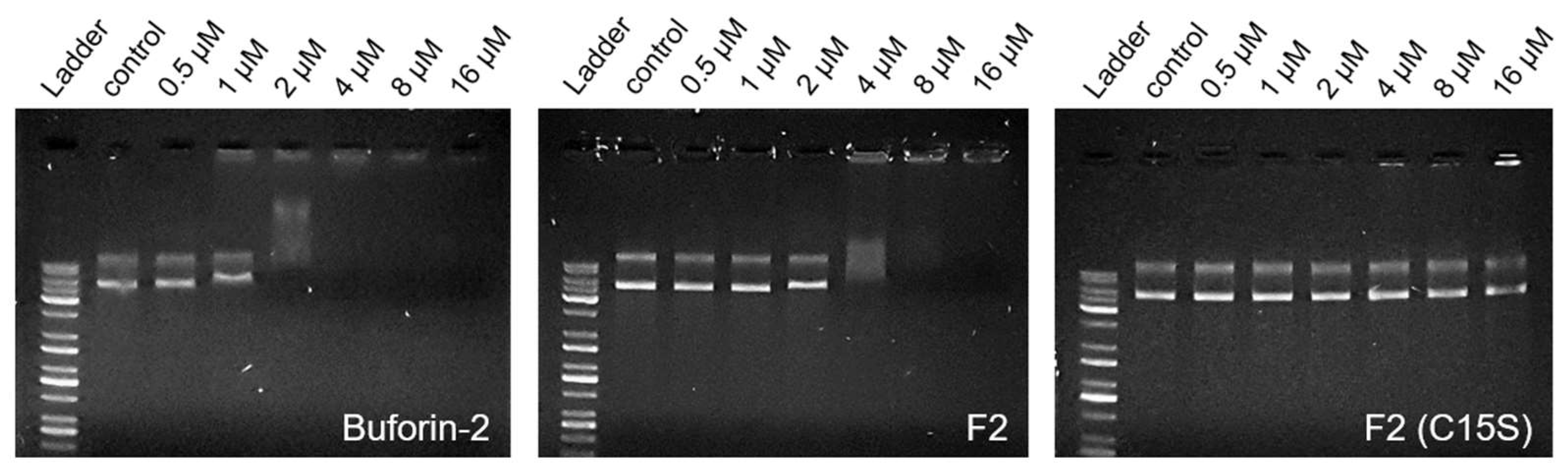Biomolecules 14 00659 g005