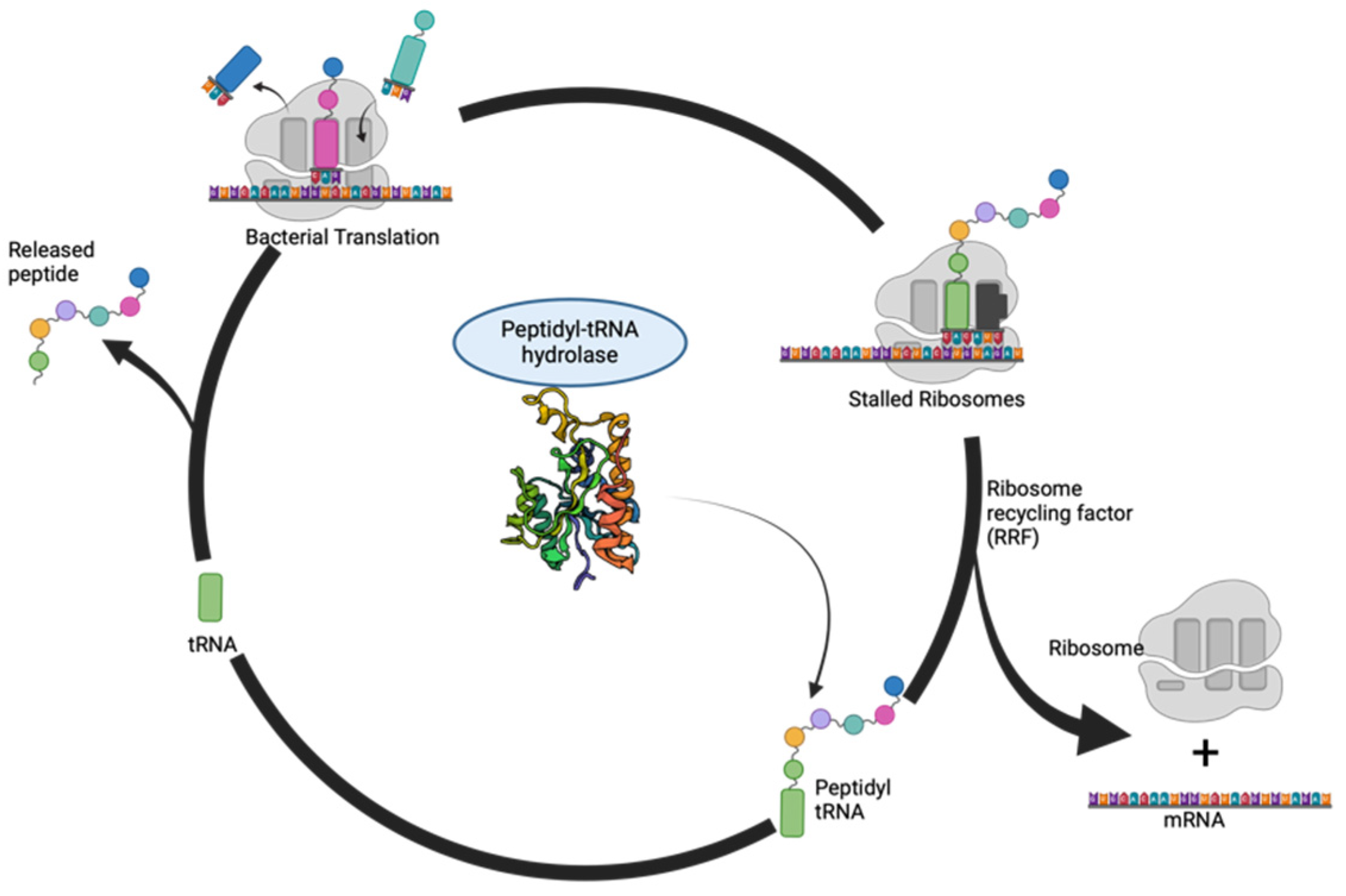 Biomolecules 14 00668 g002