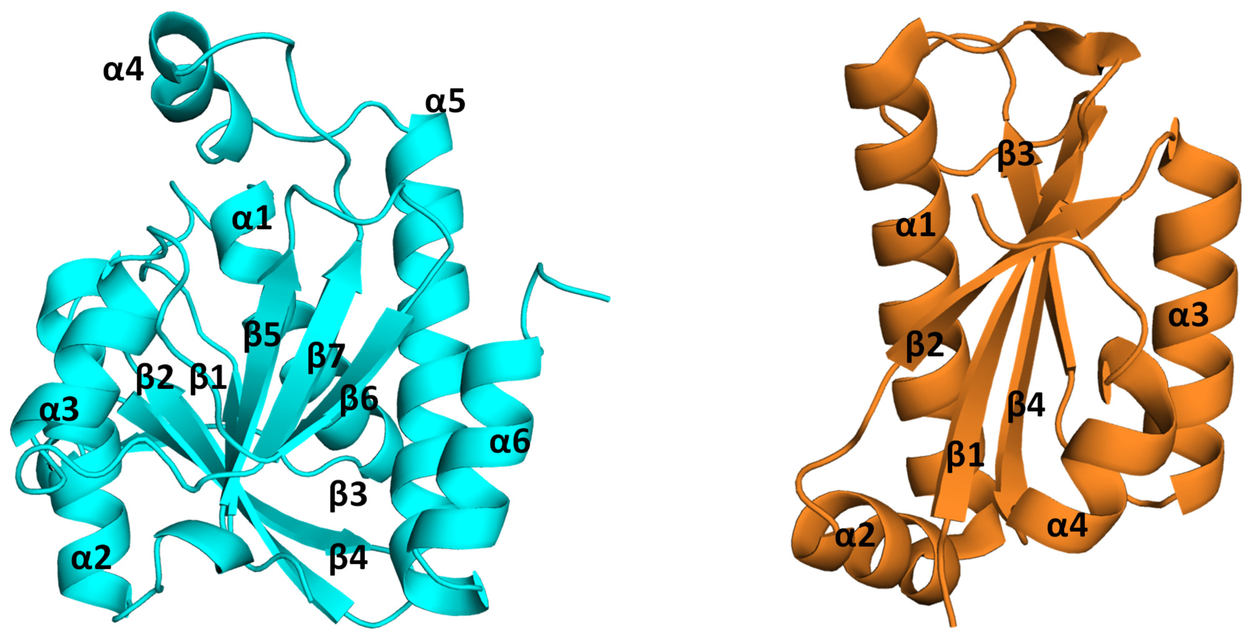 Biomolecules 14 00668 g005