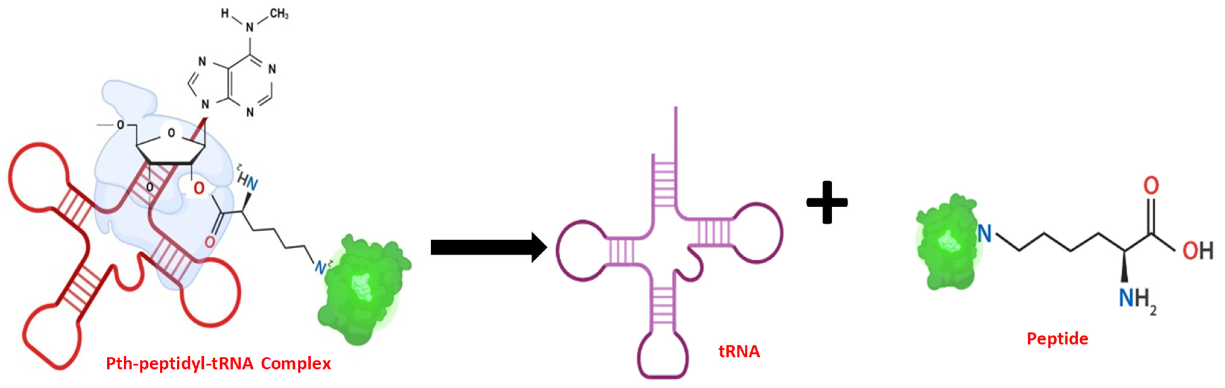 Biomolecules 14 00668 g006