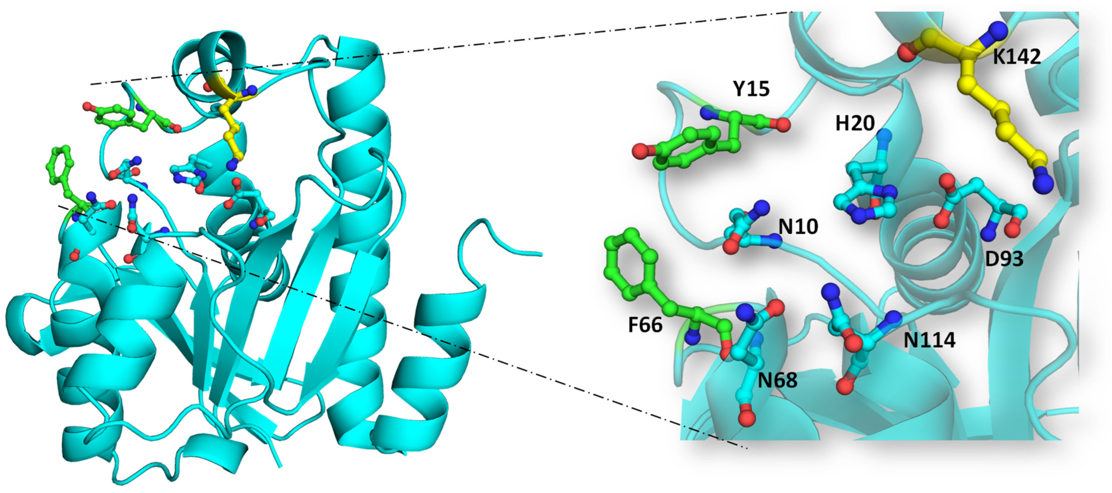 Biomolecules 14 00668 g007