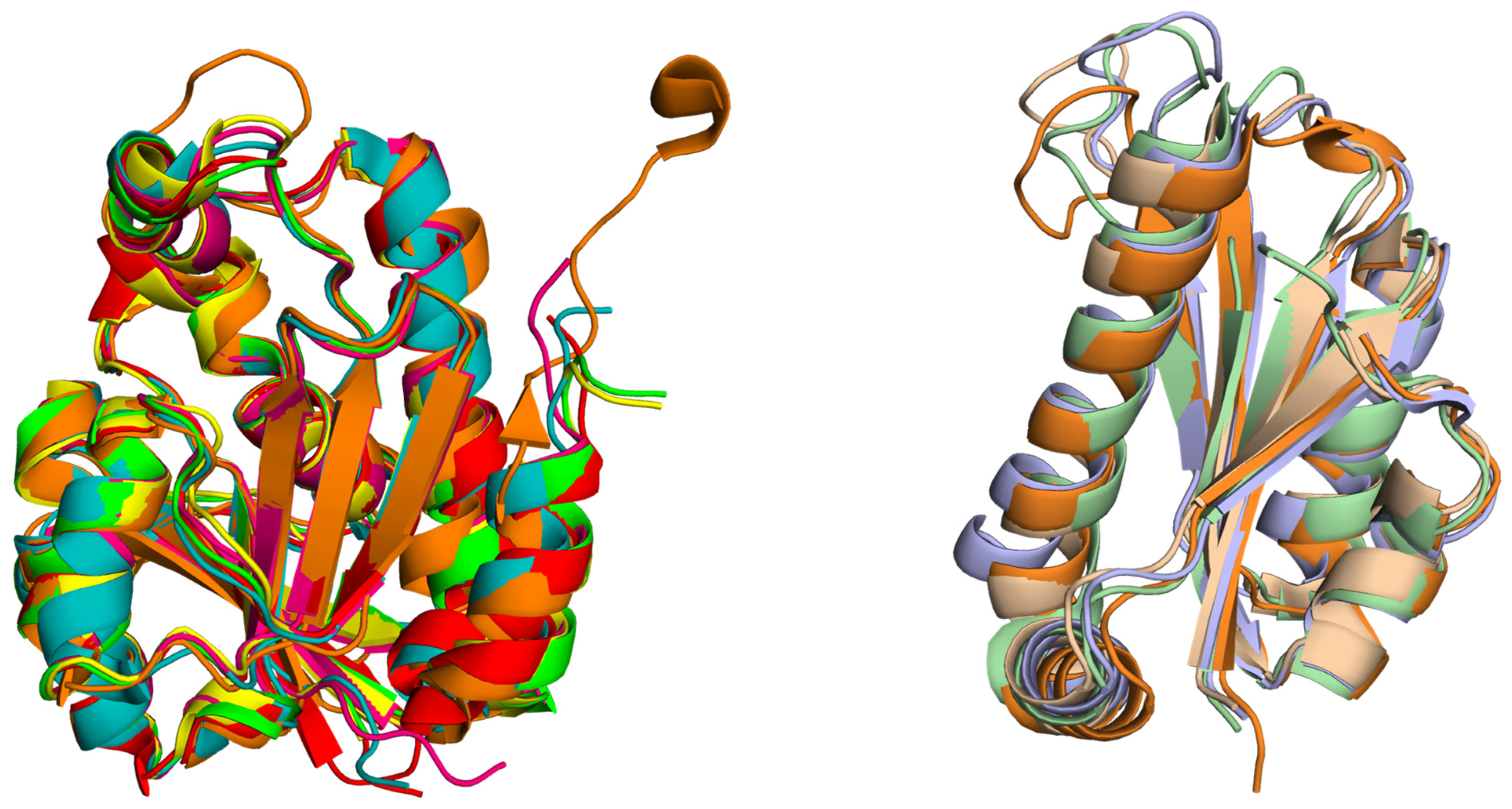 Biomolecules 14 00668 g008