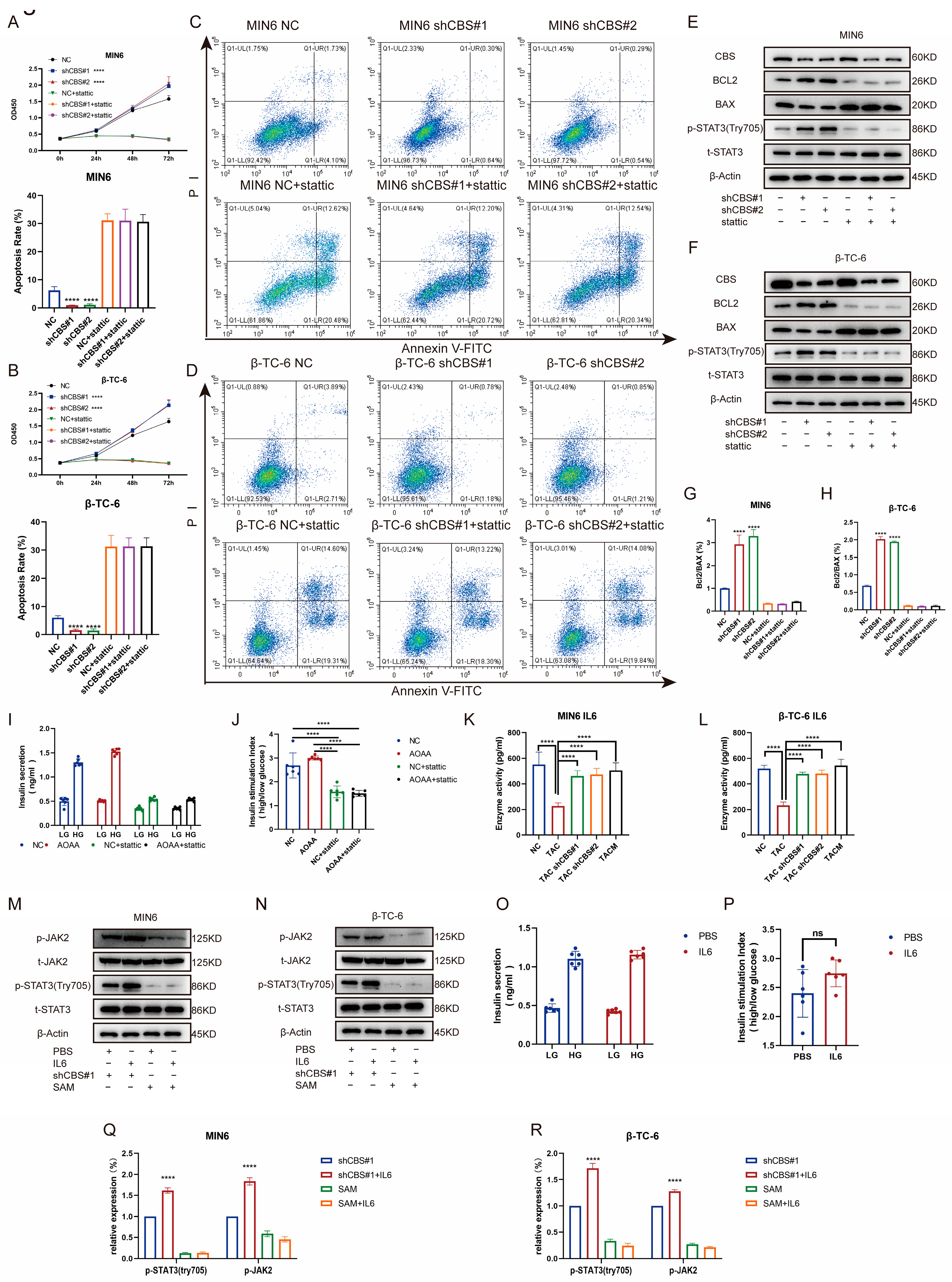 Biomolecules 14 00671 g007