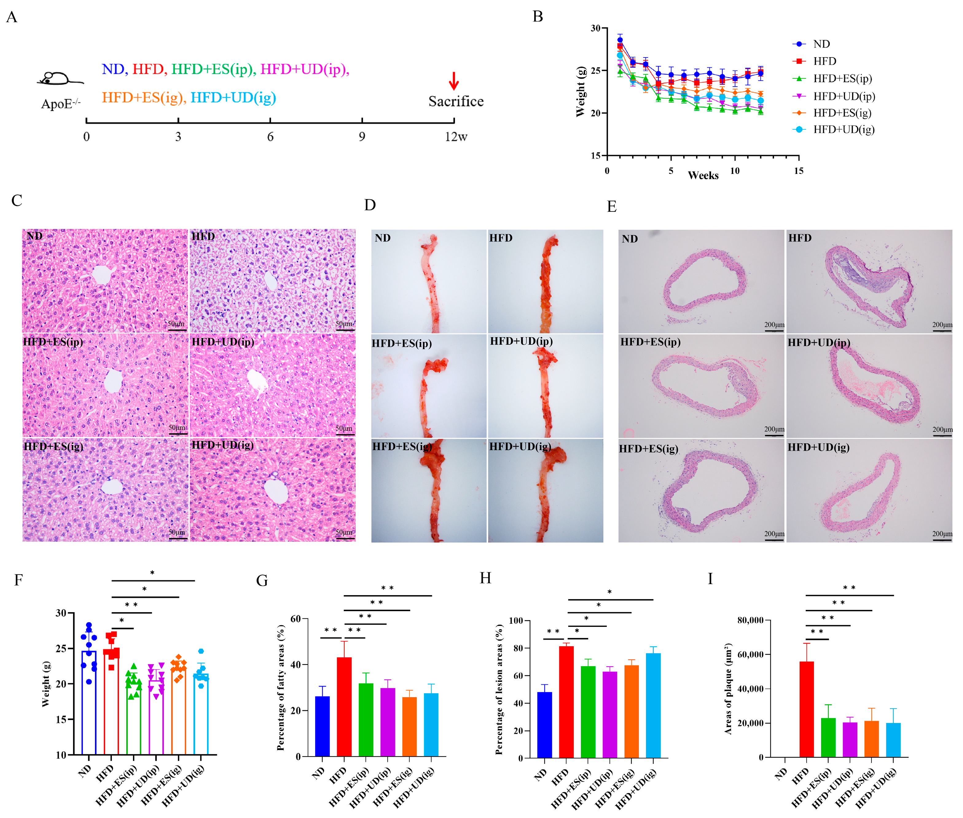Biomolecules 14 00672 g003