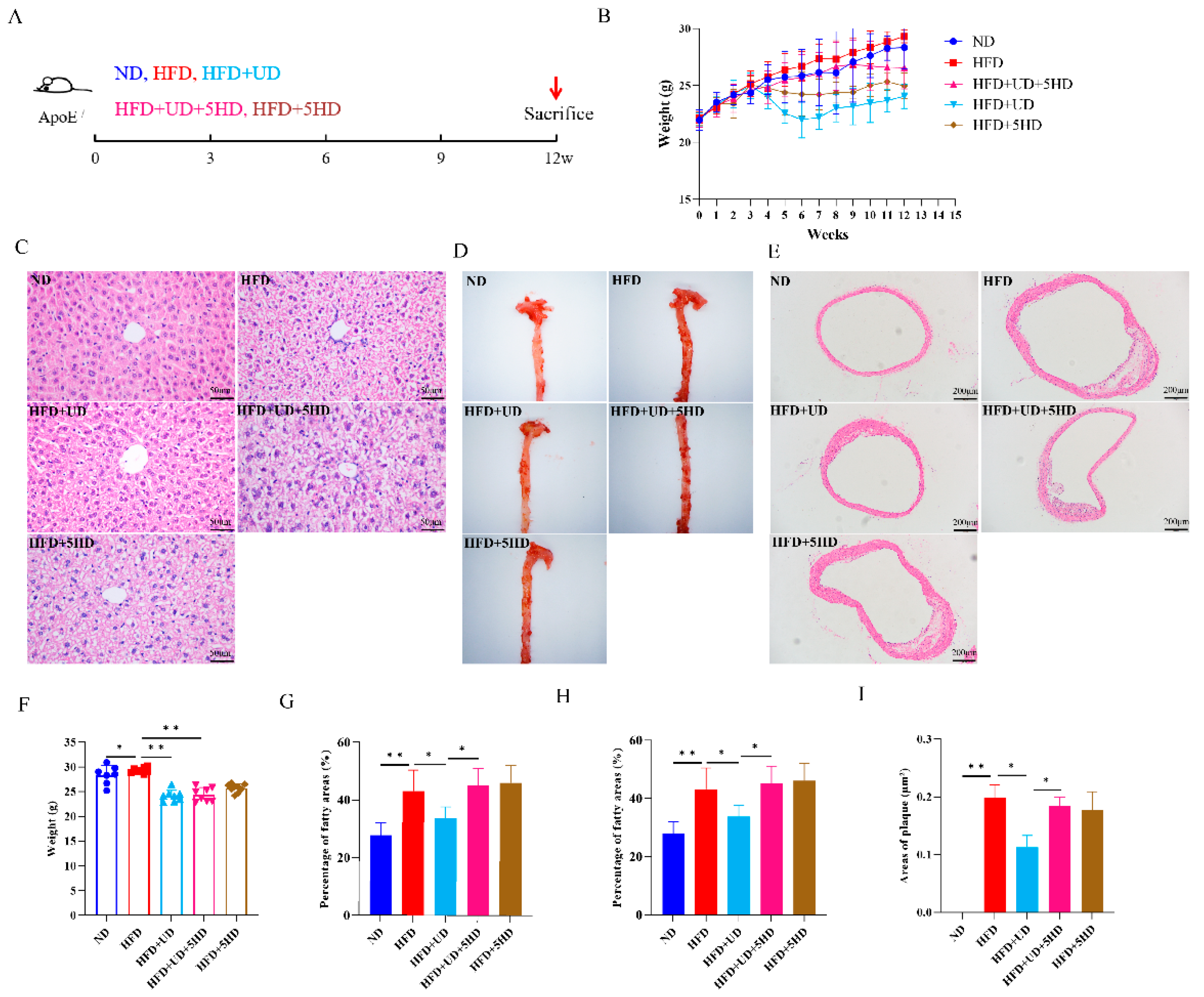 Biomolecules 14 00672 g006
