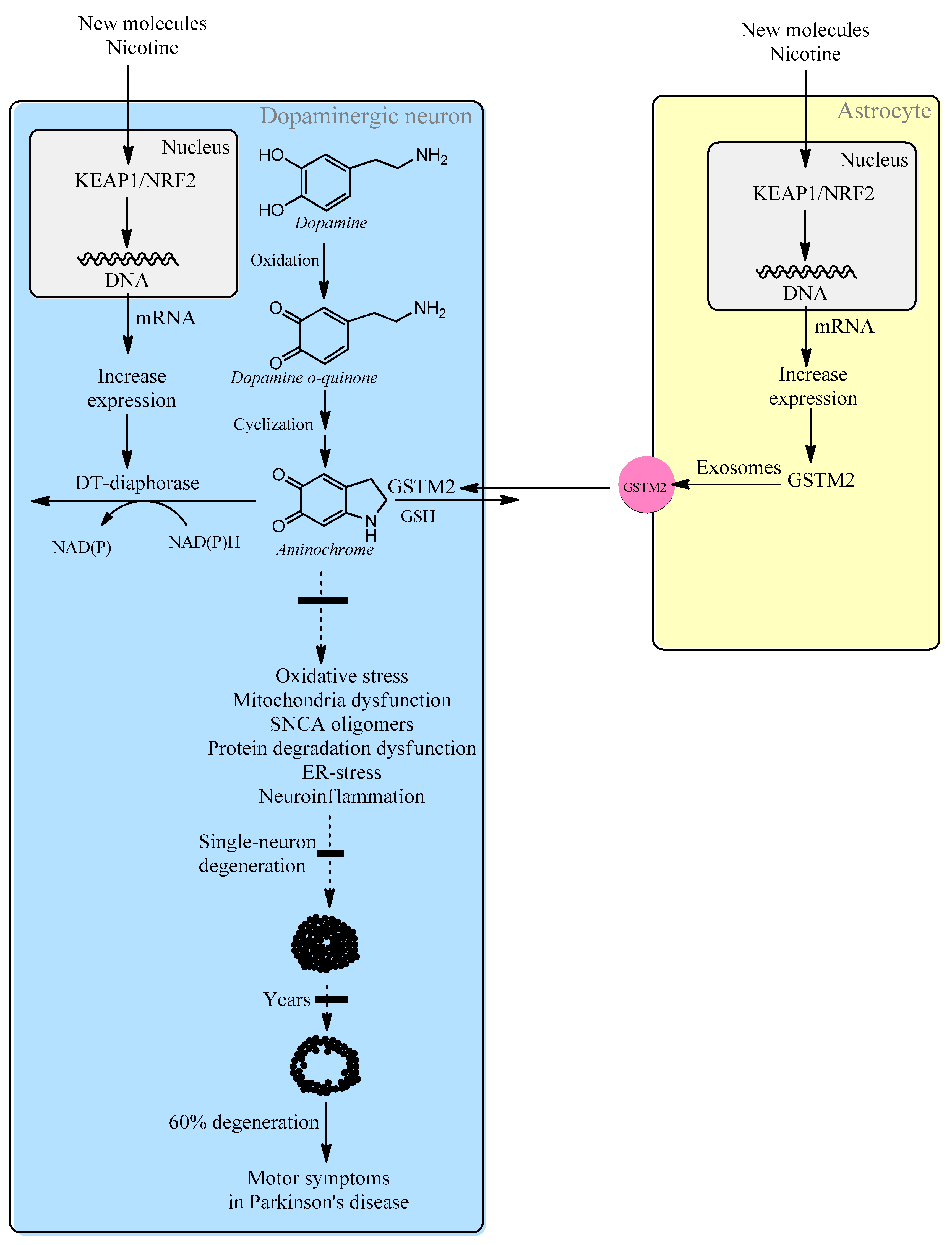 Biomolecules 14 00673 g002