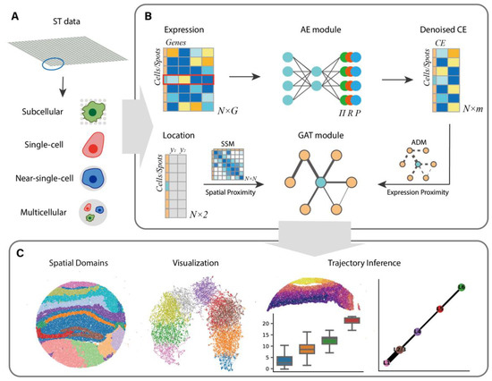 Accurate Identification of Spatial Domain by Incorporating