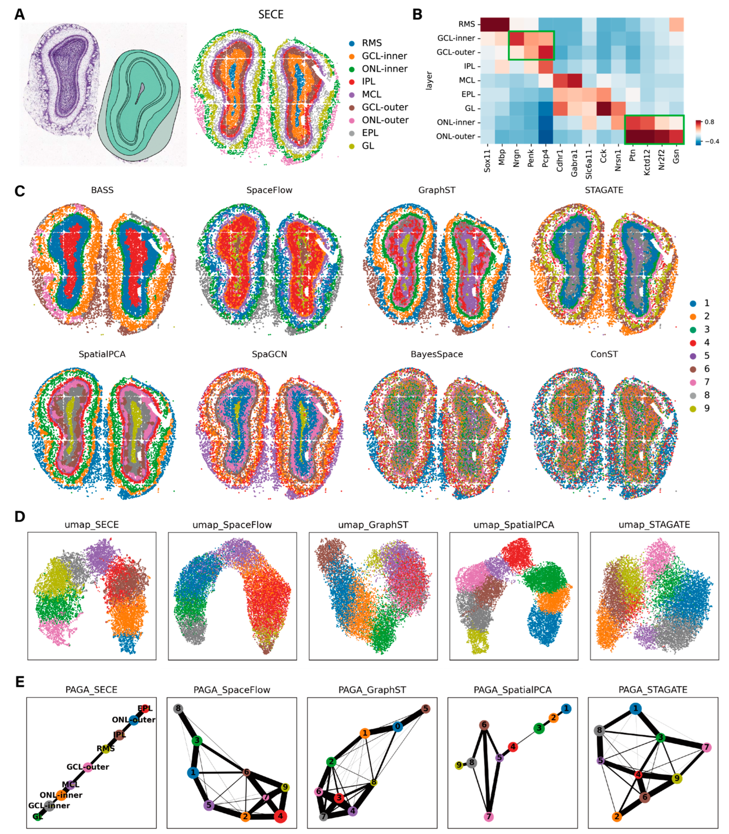 Biomolecules 14 00674 g004