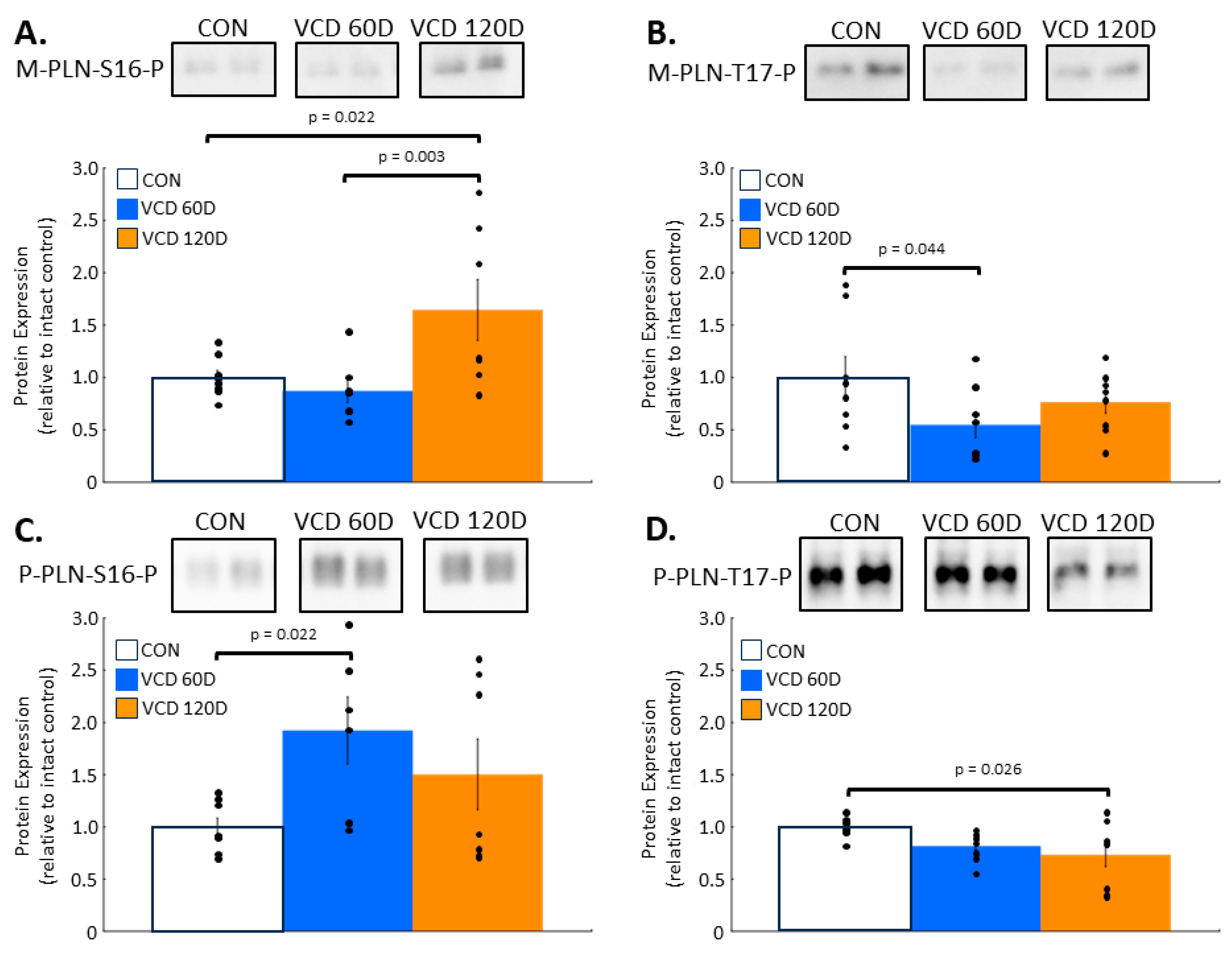 Biomolecules 14 00675 g003 Biomolecules 14 00675 g003