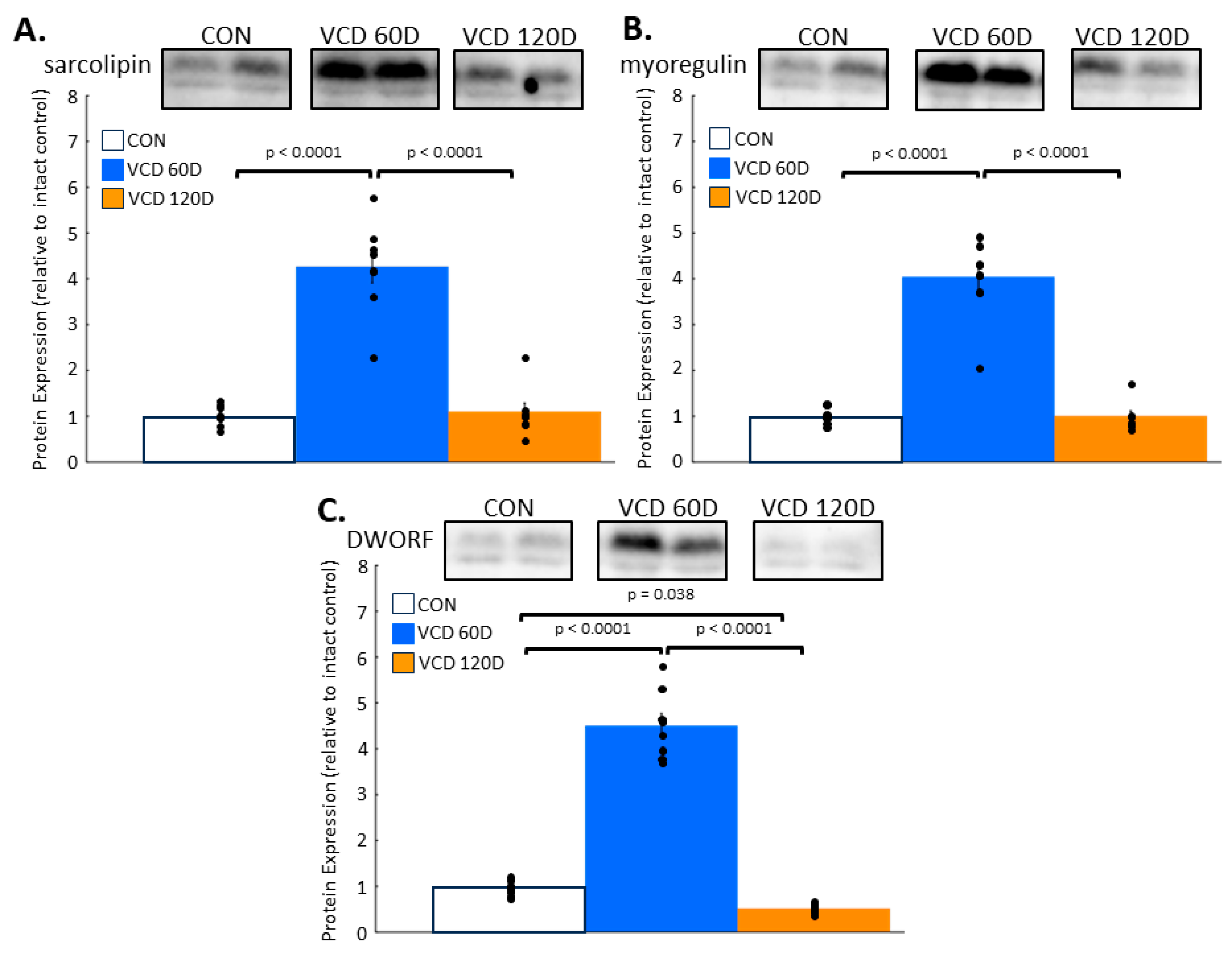 Biomolecules 14 00675 g004 Biomolecules 14 00675 g004
