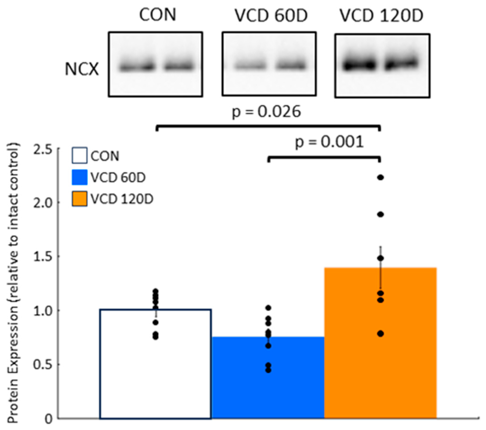 Biomolecules 14 00675 g005 Biomolecules 14 00675 g005