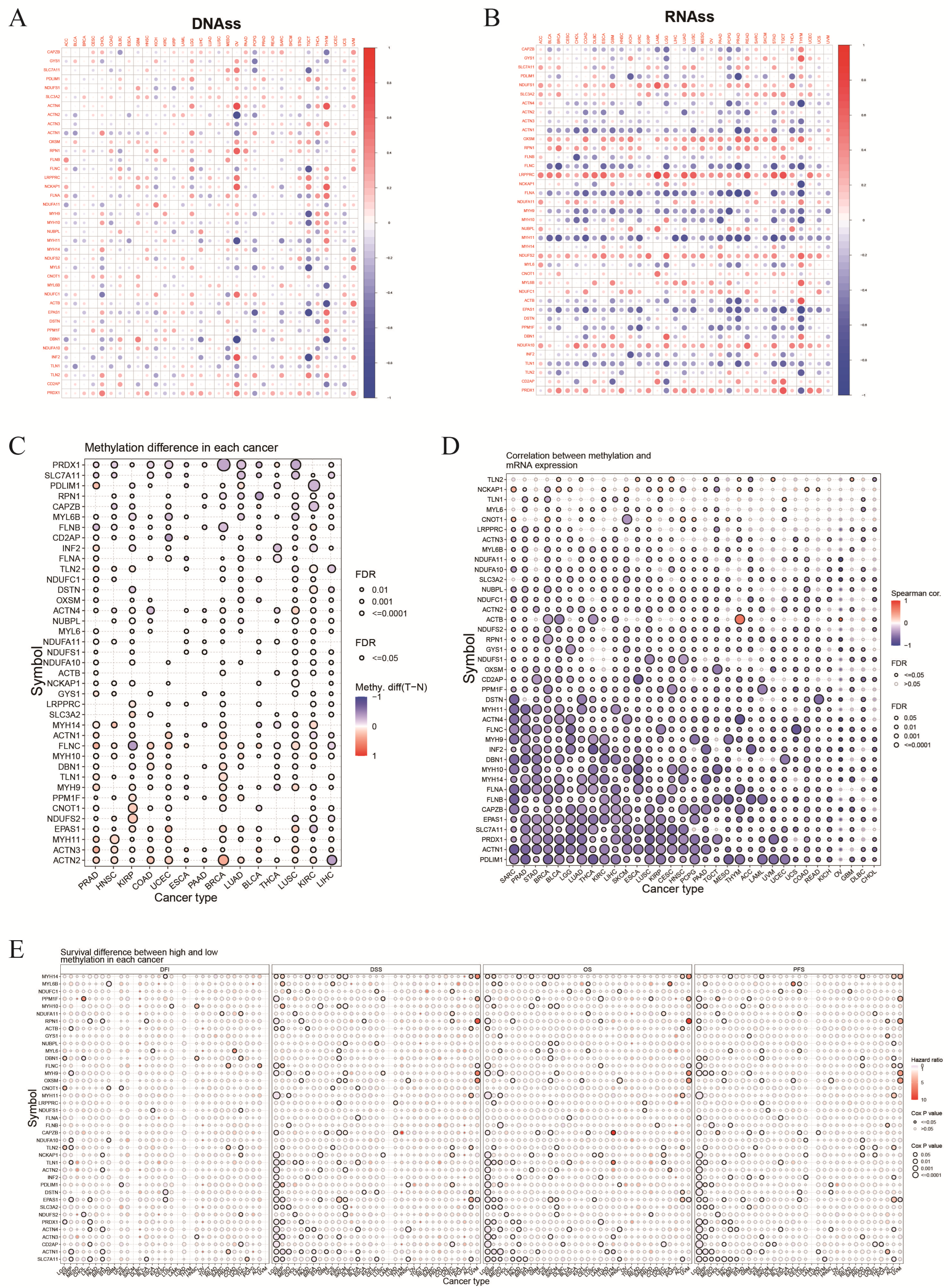 Biomolecules 14 00677 g005