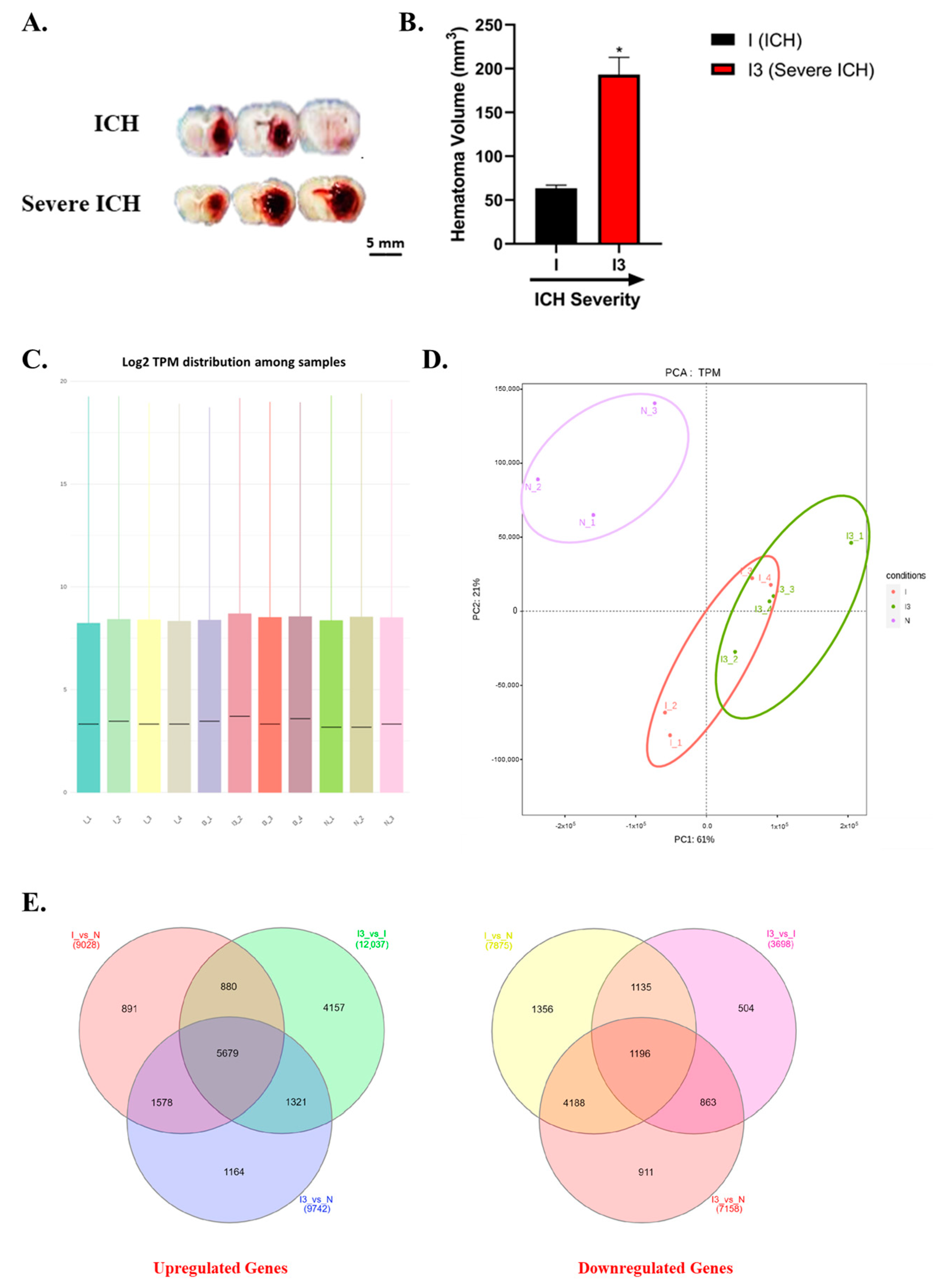 Biomolecules 14 00678 g001