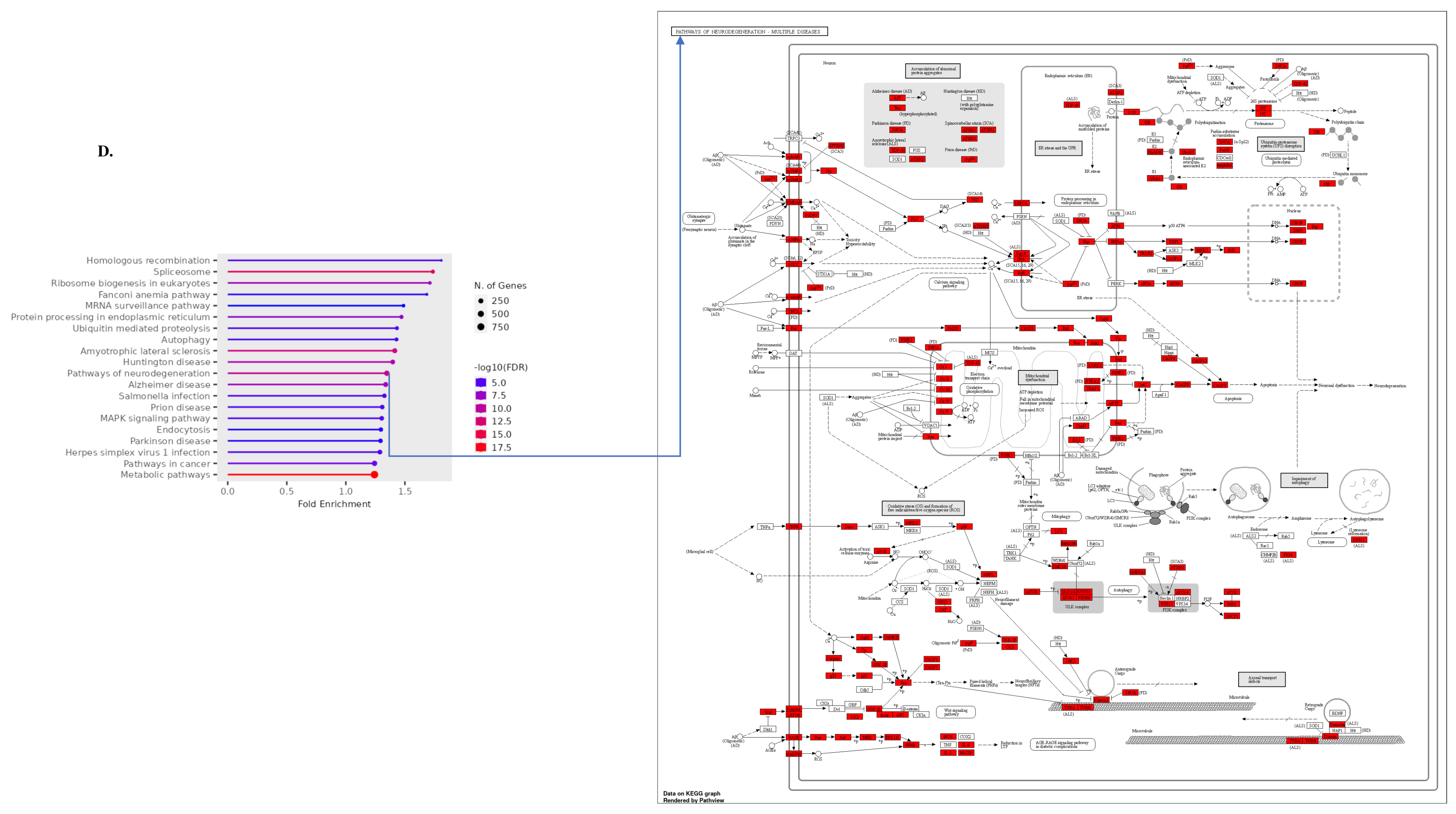 Biomolecules 14 00678 g006b