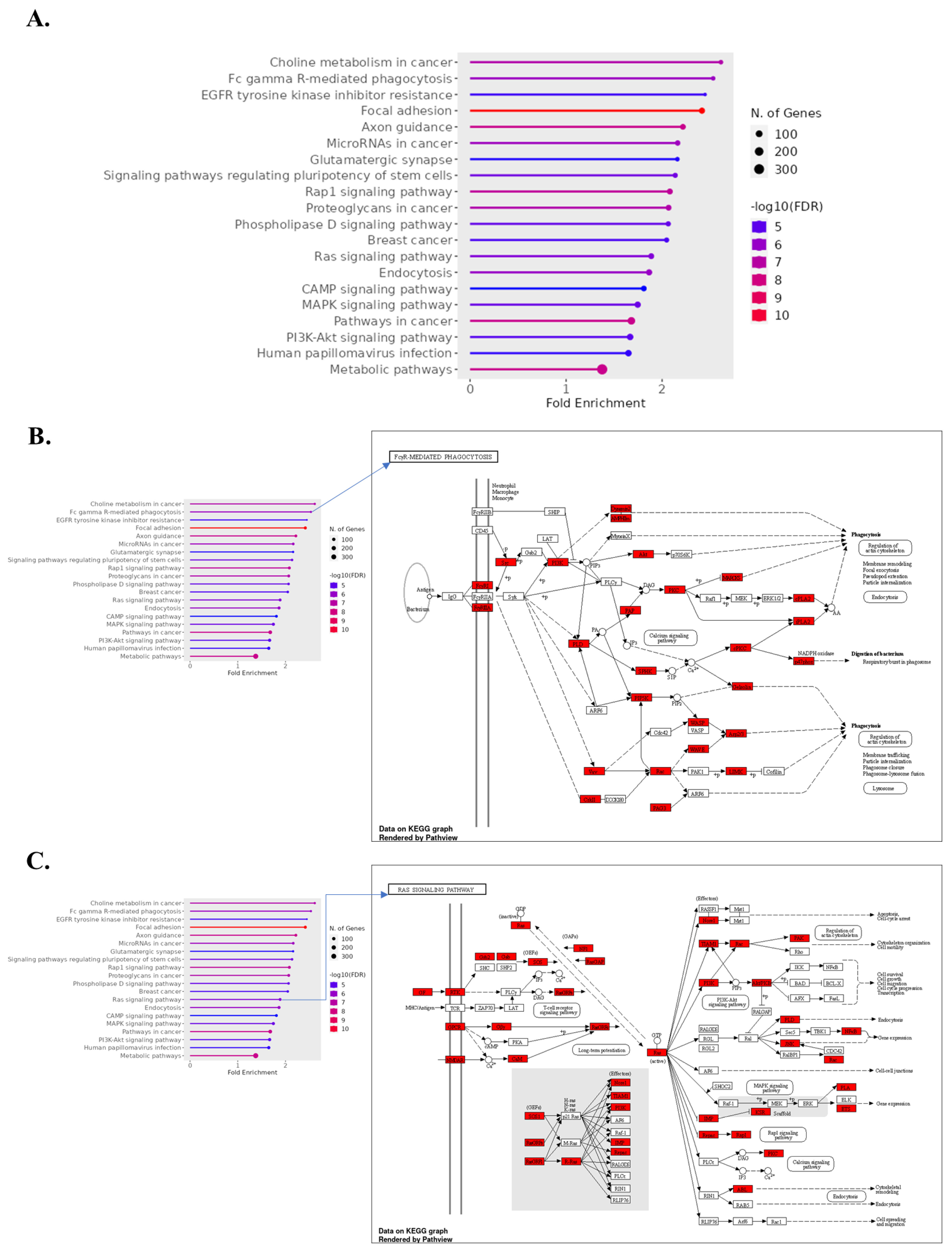 Biomolecules 14 00678 g007