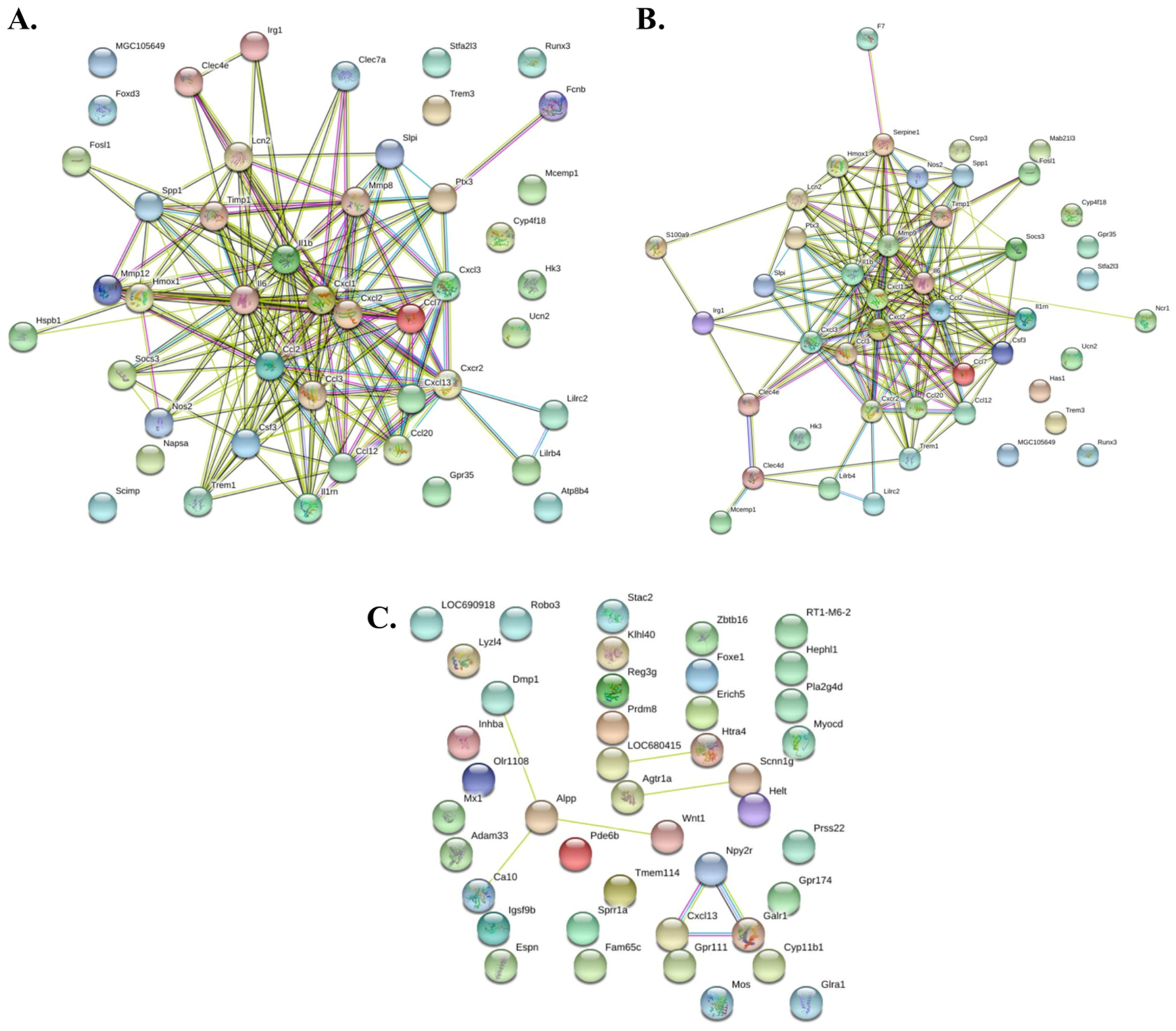 Biomolecules 14 00678 g008
