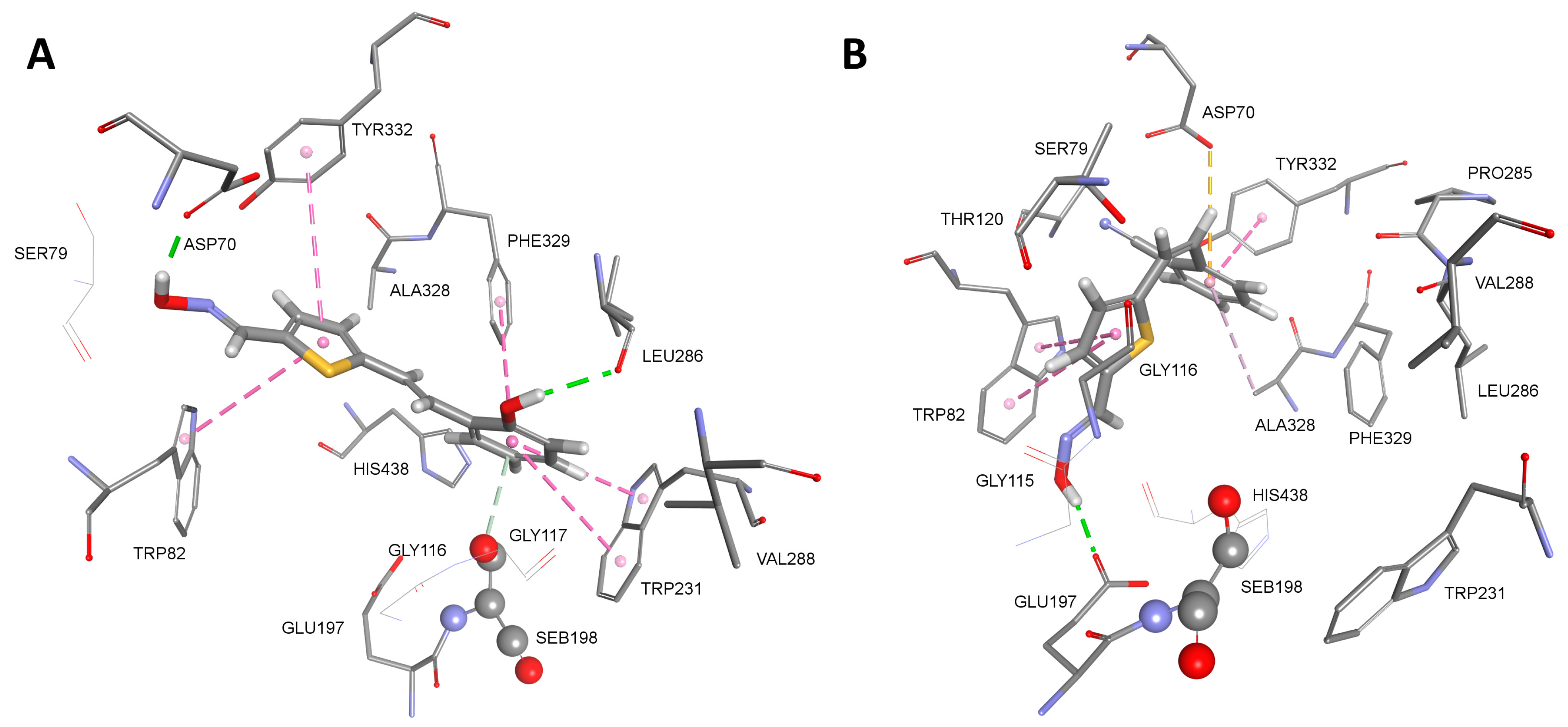 Biomolecules 14 00679 g005