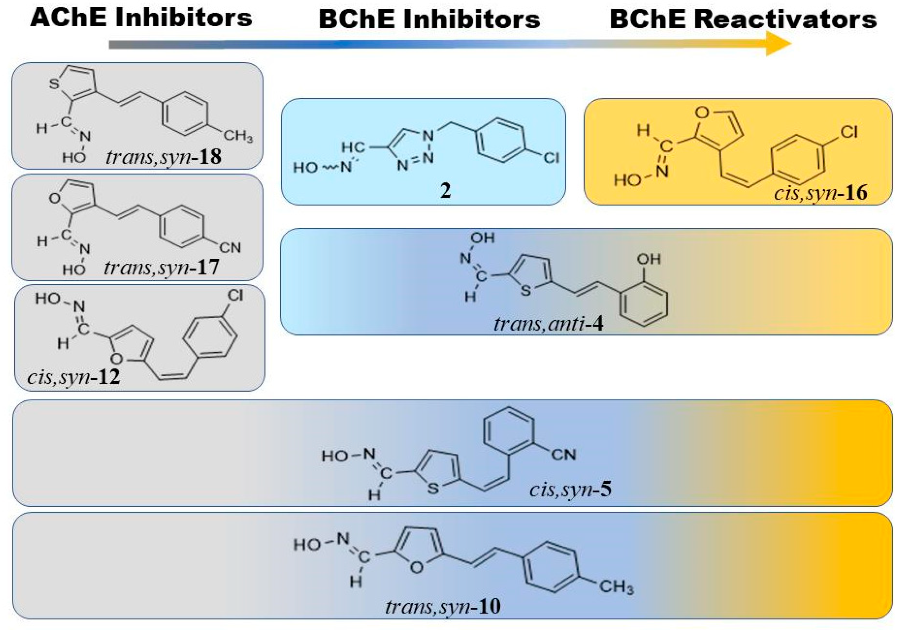 Biomolecules 14 00679 g008