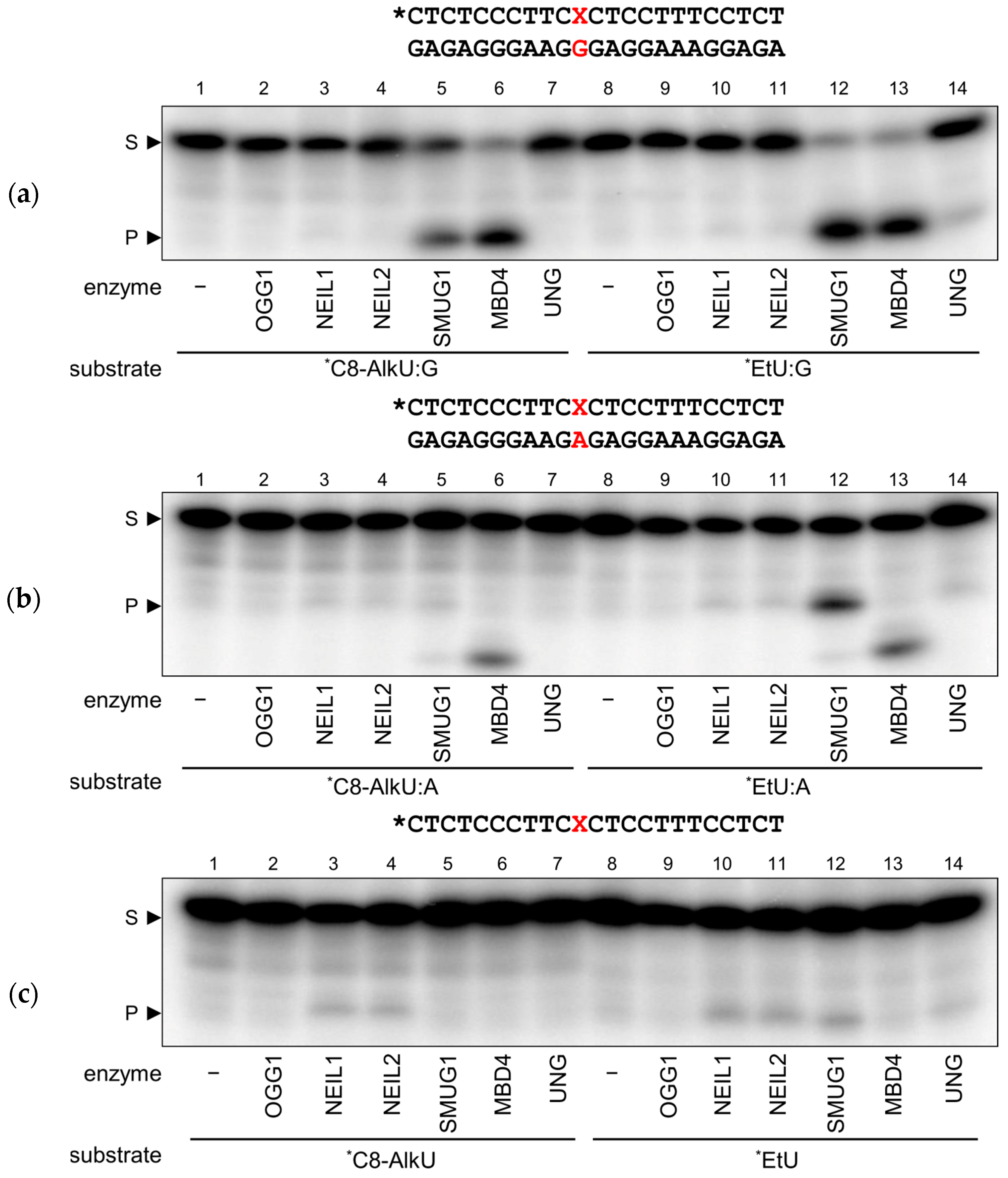 Biomolecules 14 00681 g002