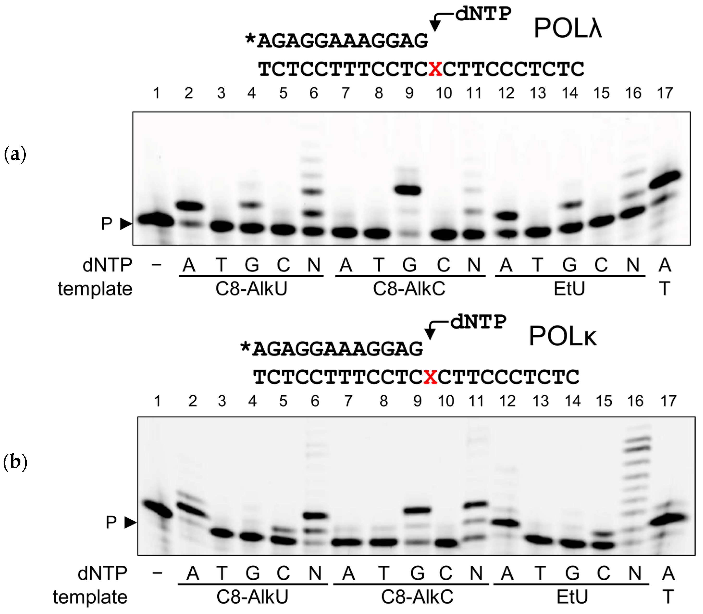 Biomolecules 14 00681 g006